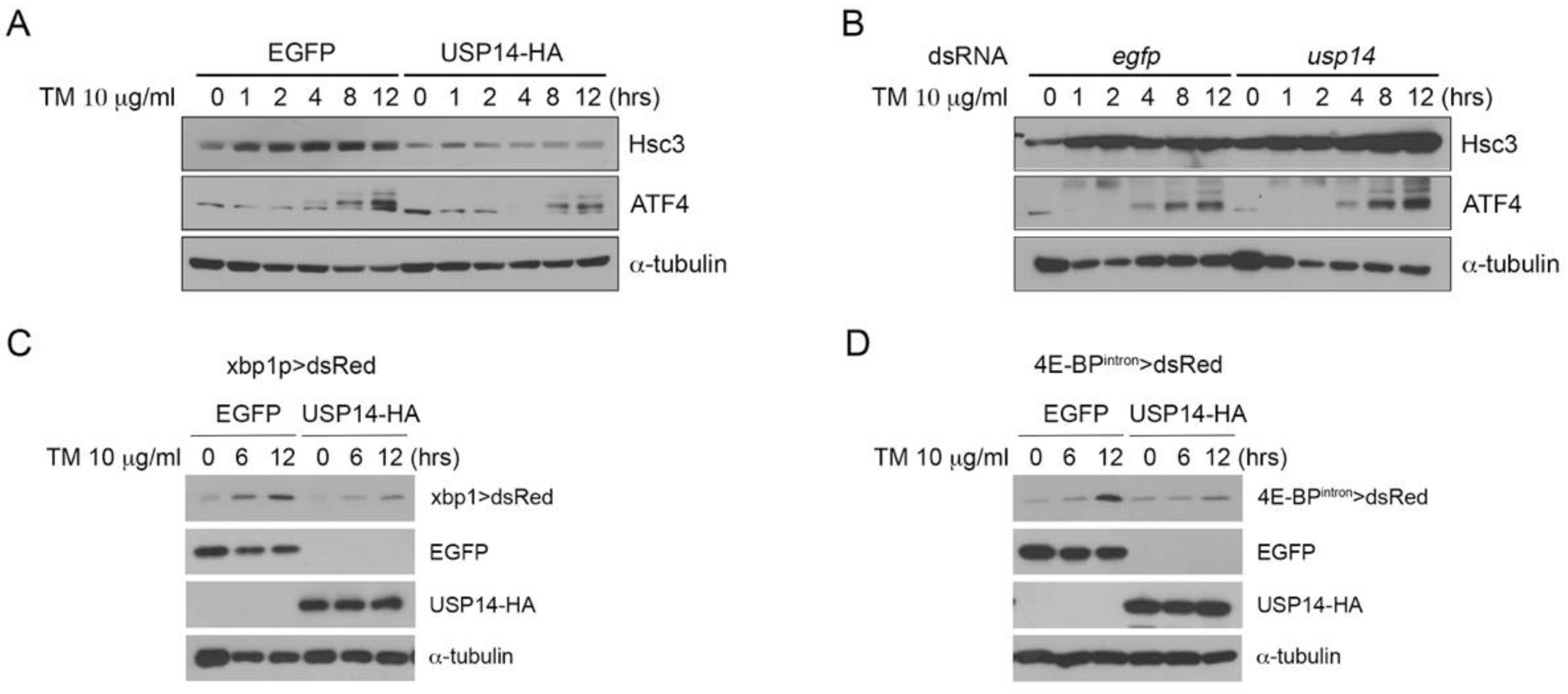 Biology 09 00332 g001 Biology 09 00332 g001