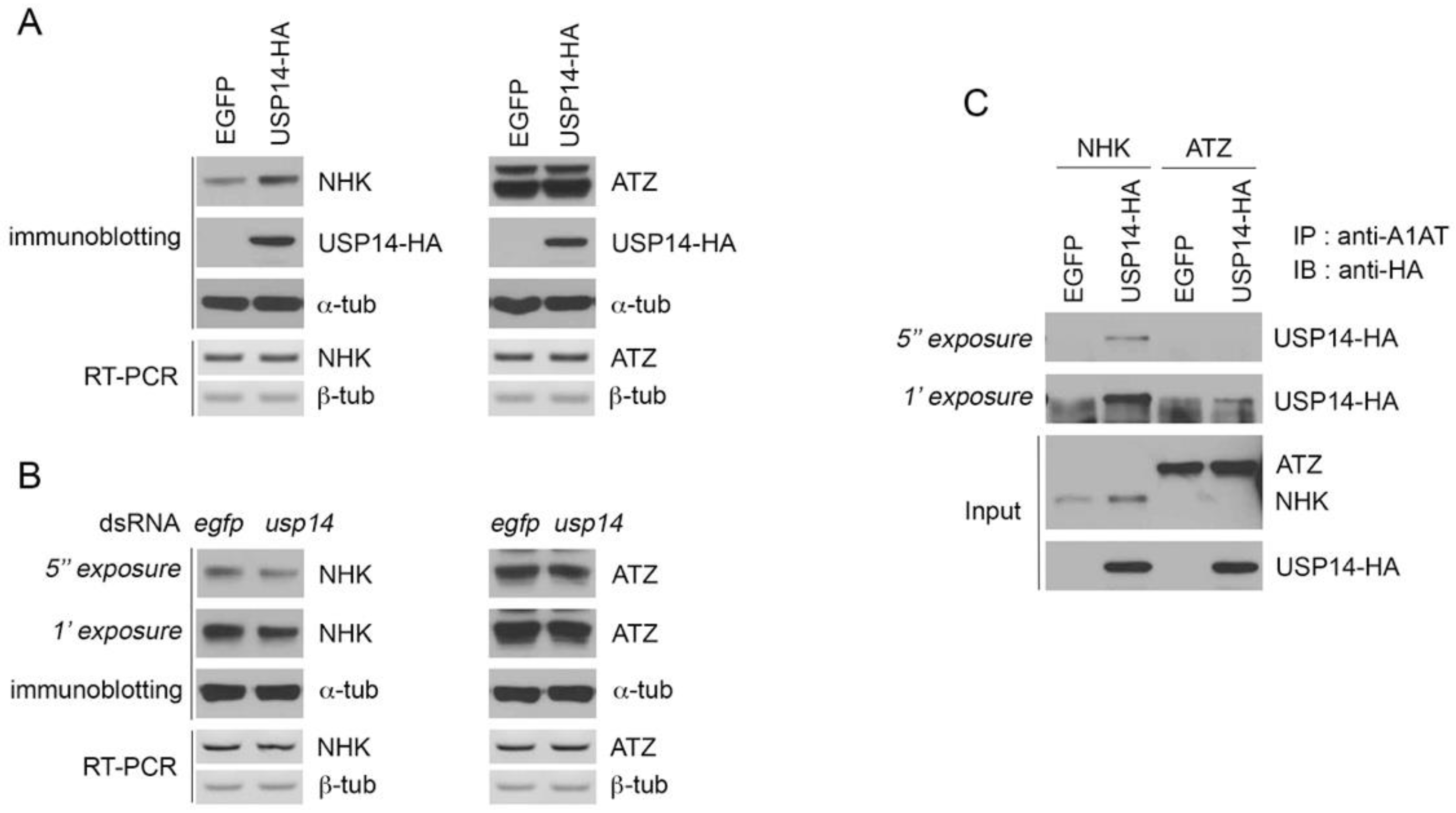 Biology 09 00332 g002 Biology 09 00332 g002