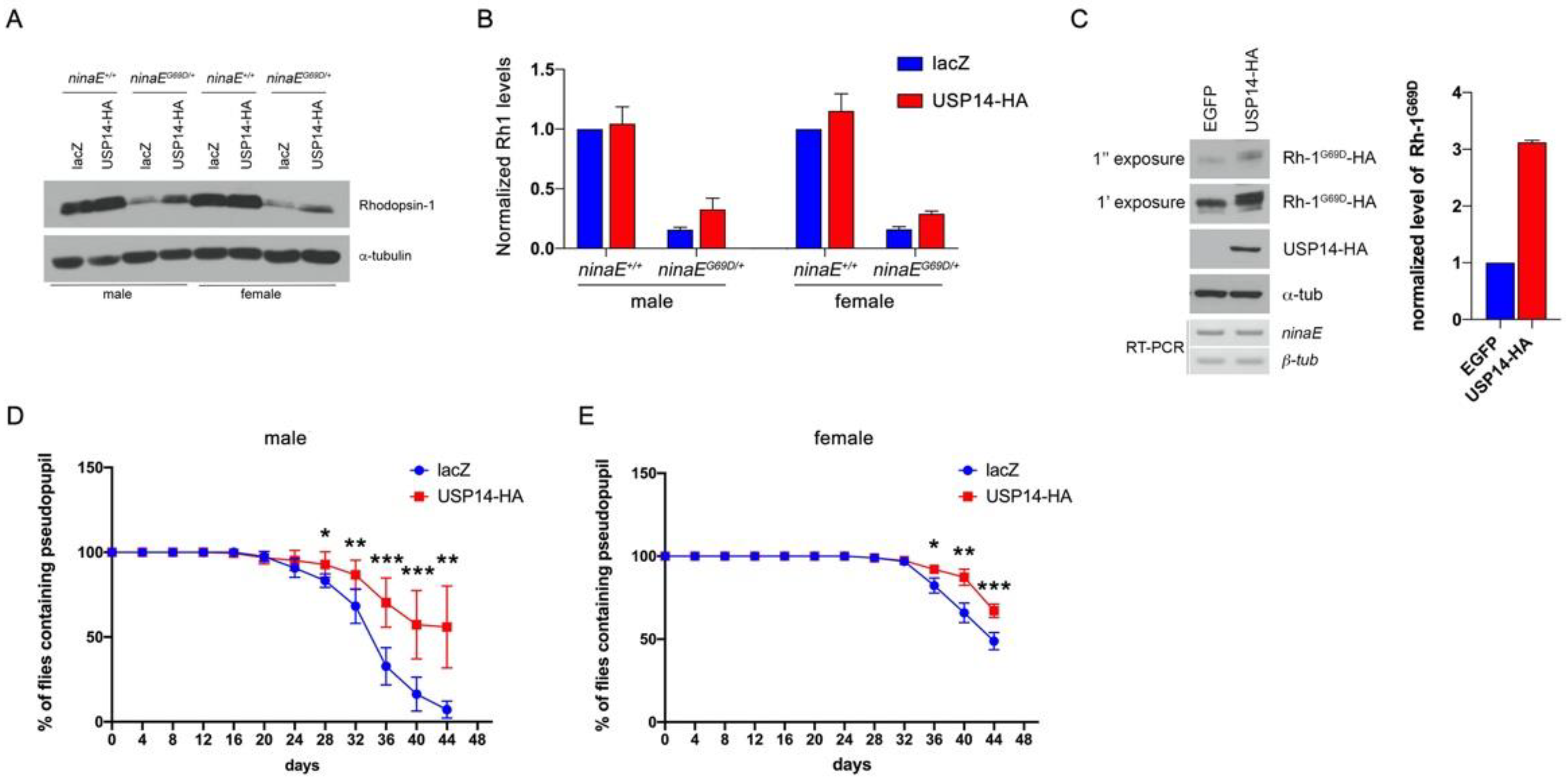 Biology 09 00332 g003 Biology 09 00332 g003