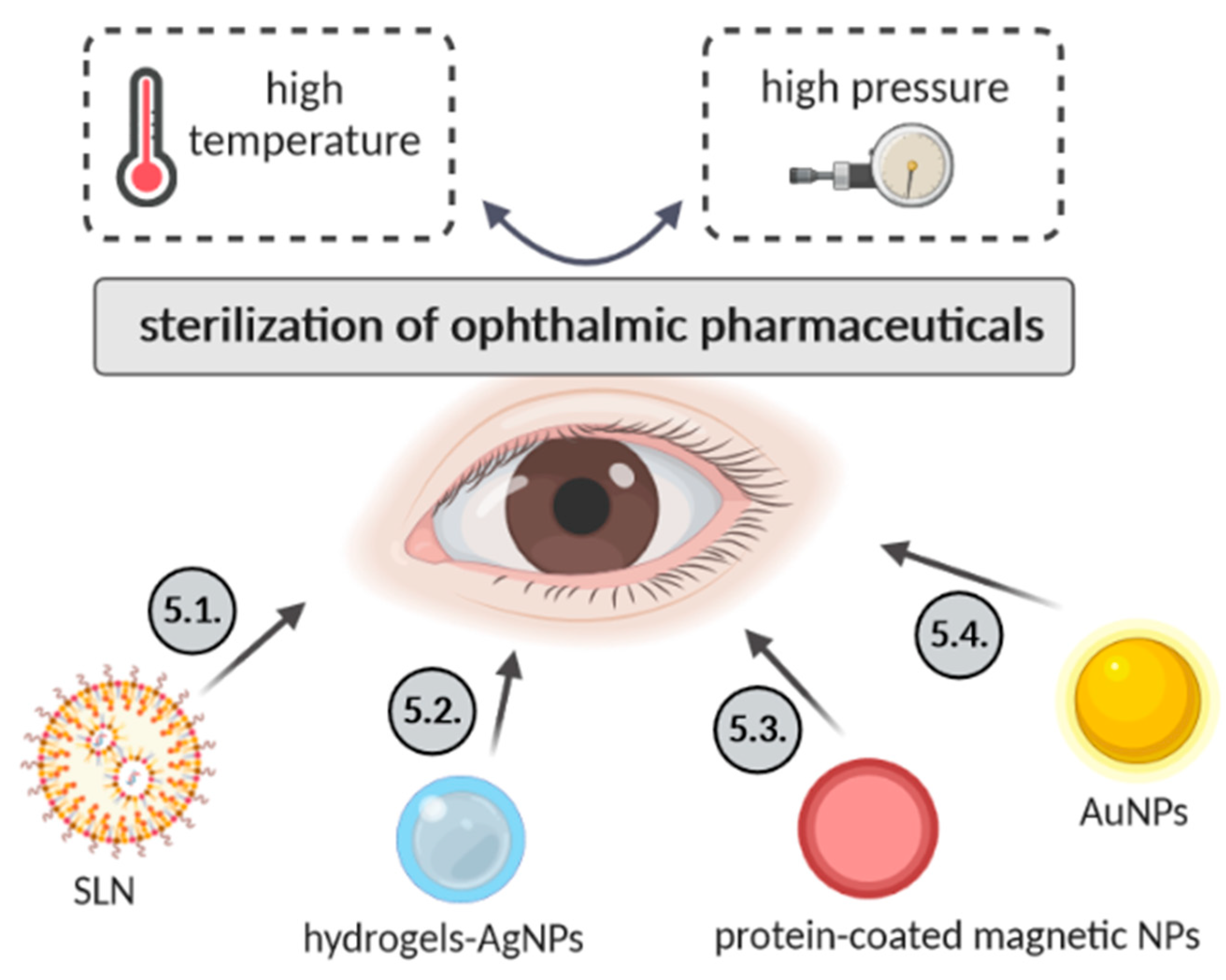 Biology 09 00336 g003 Biology 09 00336 g003