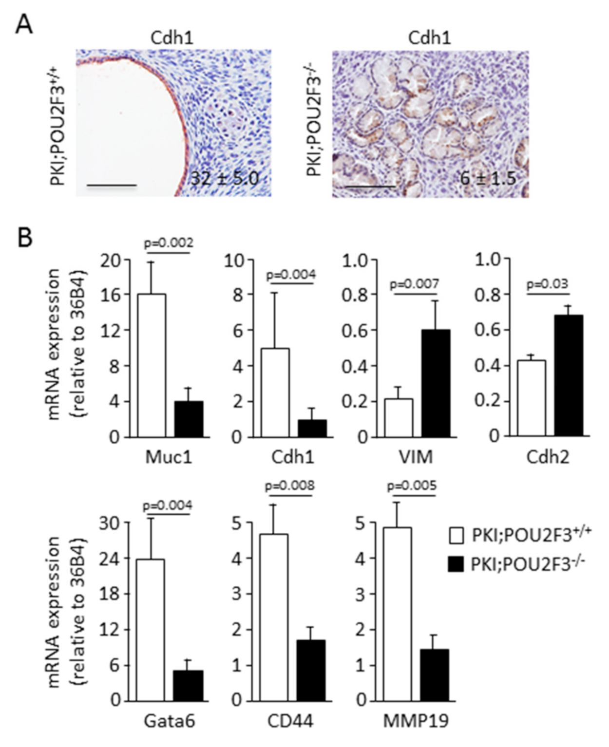 Biology 09 00341 g002
