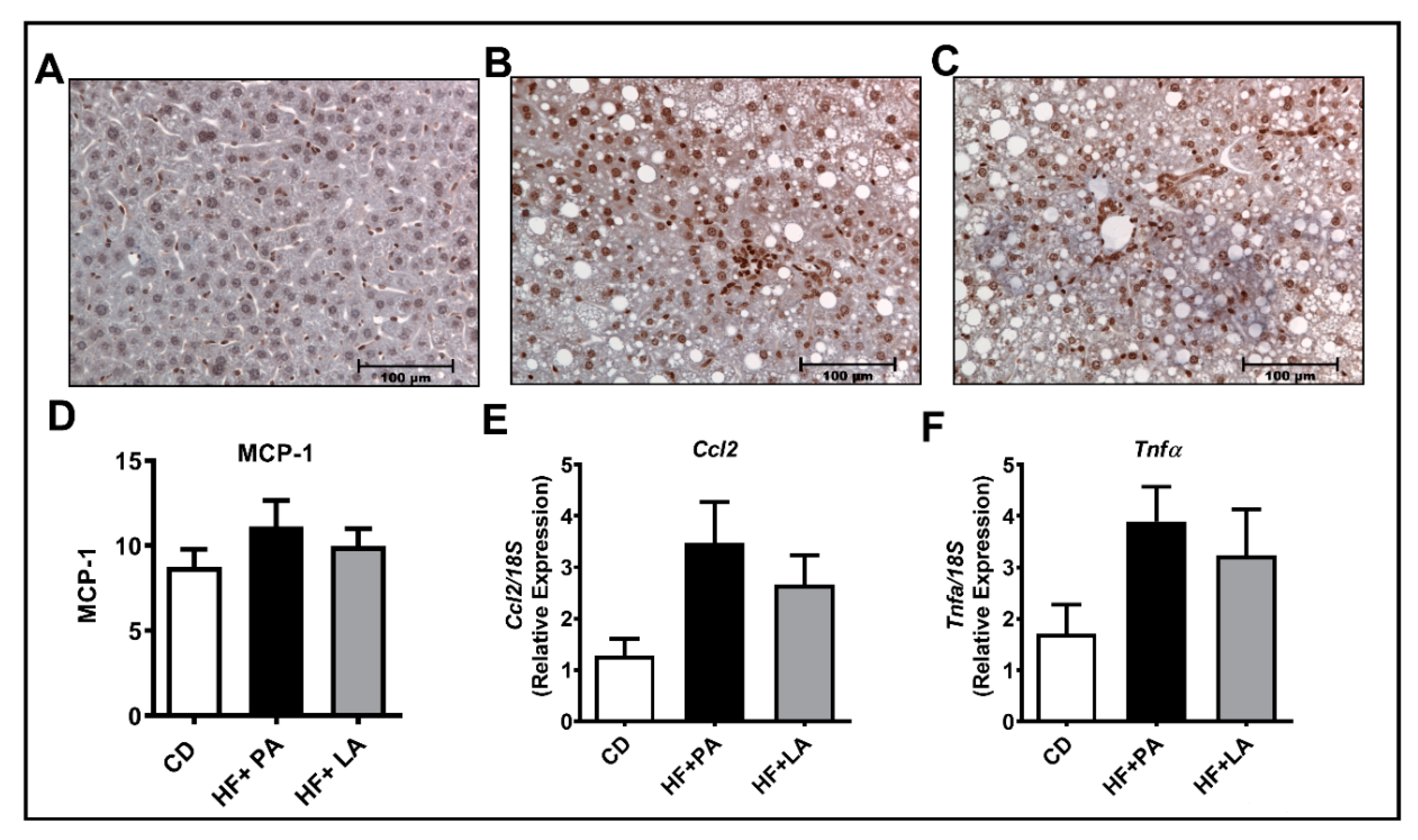 Biology 09 00346 g008