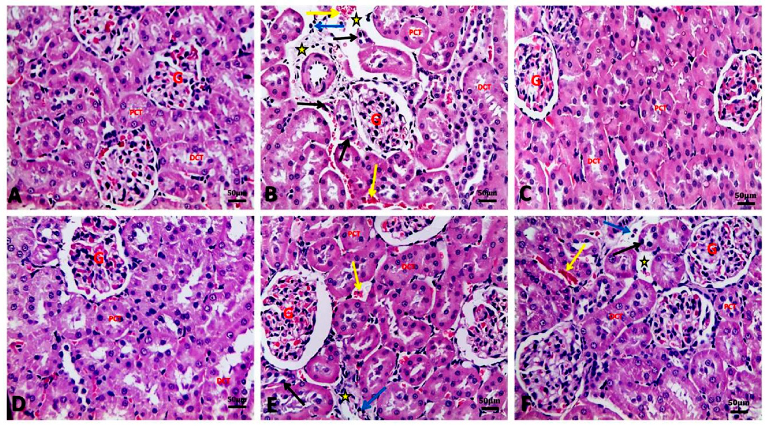 Biology 09 00352 g003 Biology 09 00352 g003