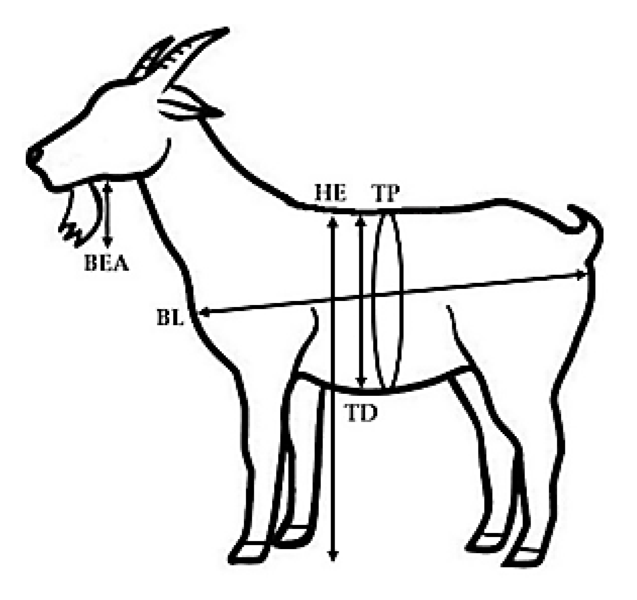 Biology 09 00354 g002 Biology 09 00354 g002
