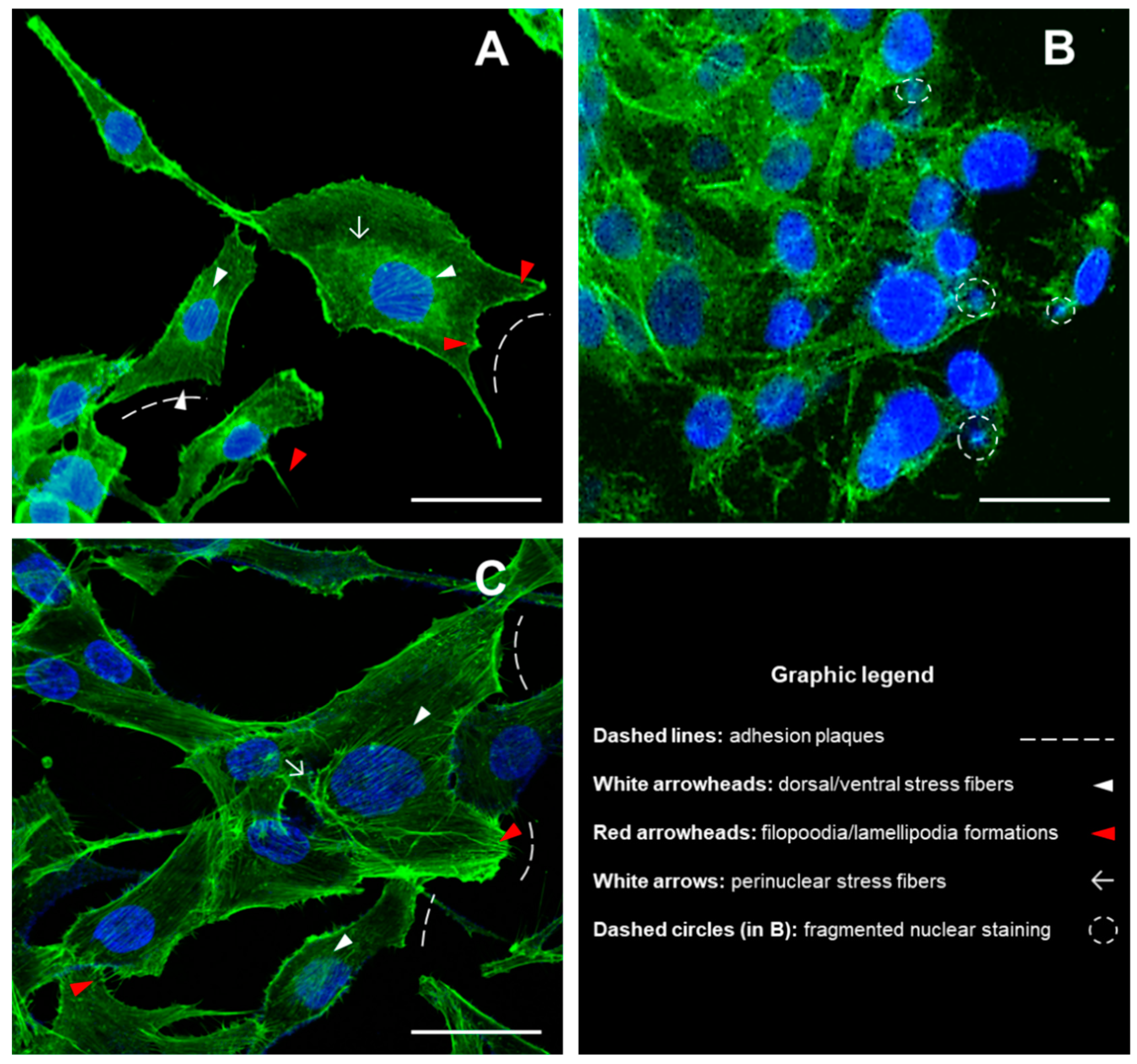 Biology 09 00357 g001 Biology 09 00357 g001