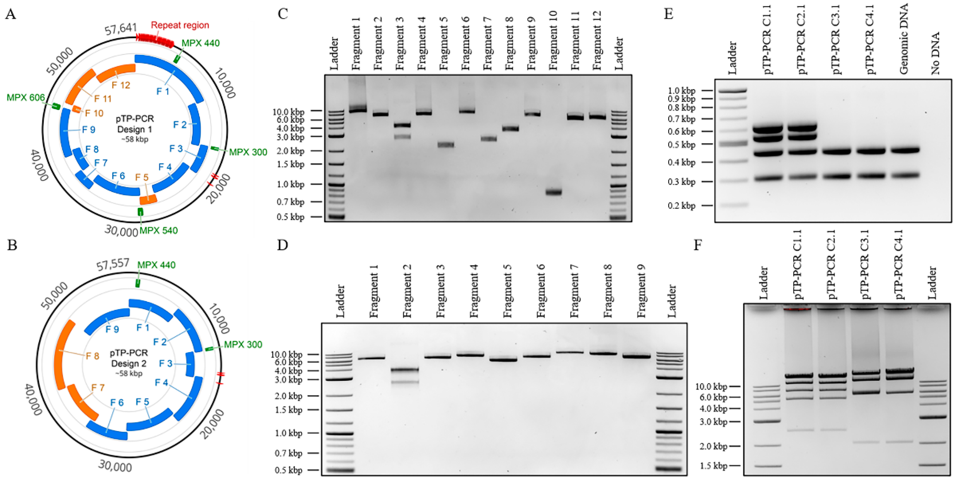 Biology 09 00358 g001 Biology 09 00358 g001