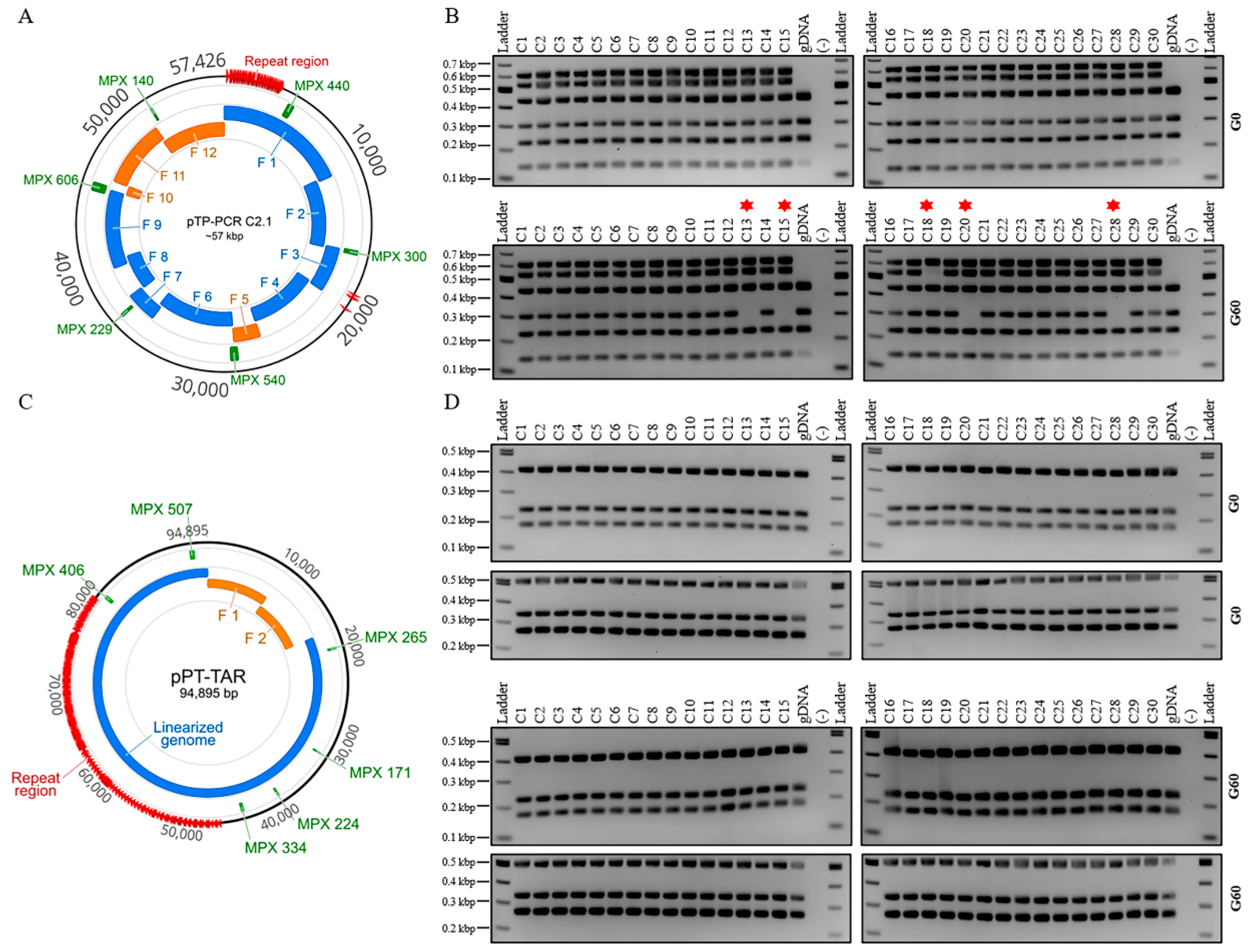 Biology 09 00358 g004 Biology 09 00358 g004