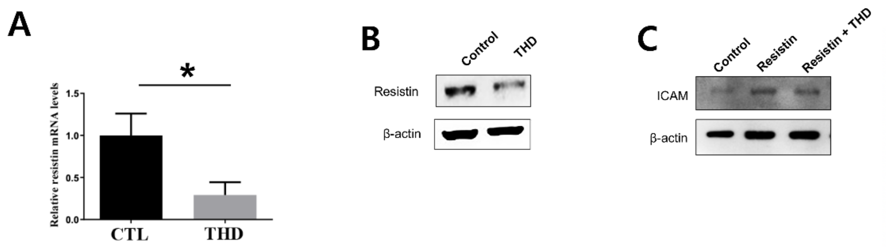 Biology 09 00363 g006 Biology 09 00363 g006