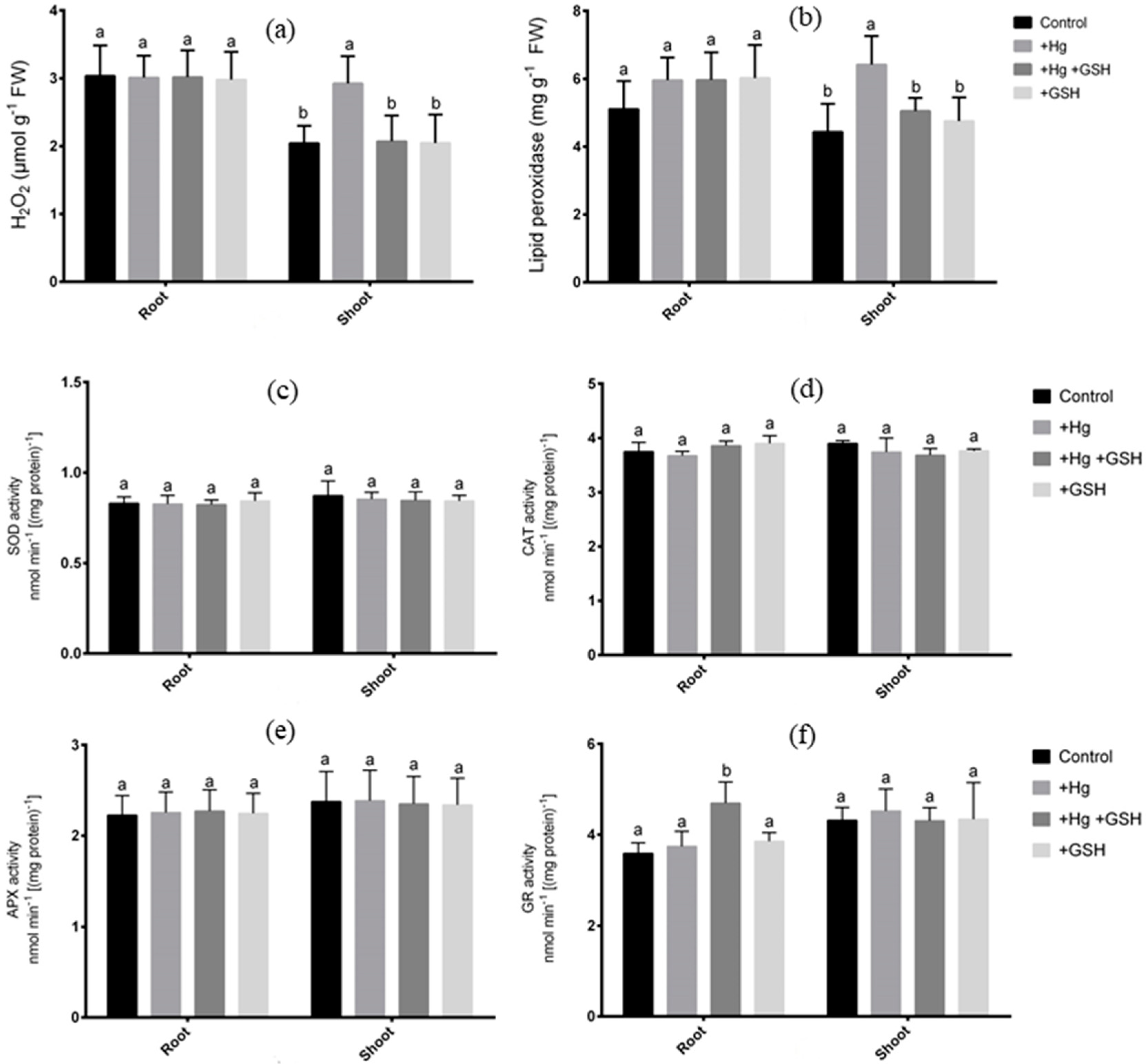 Biology 09 00364 g007 Biology 09 00364 g007