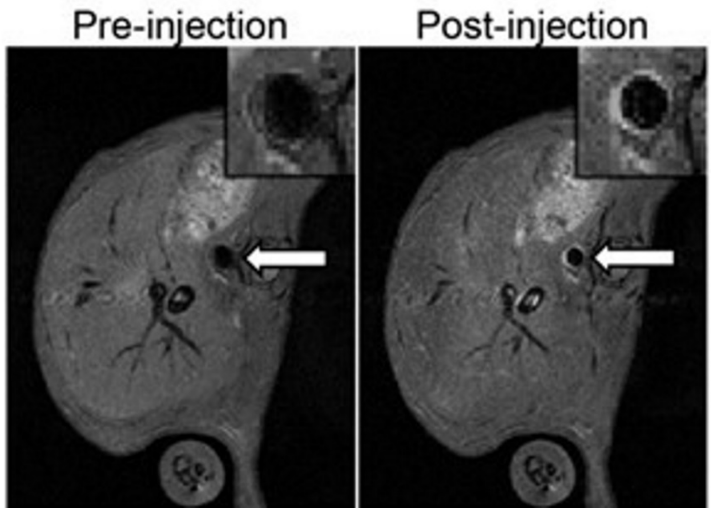 Biology 09 00368 g005 Biology 09 00368 g005