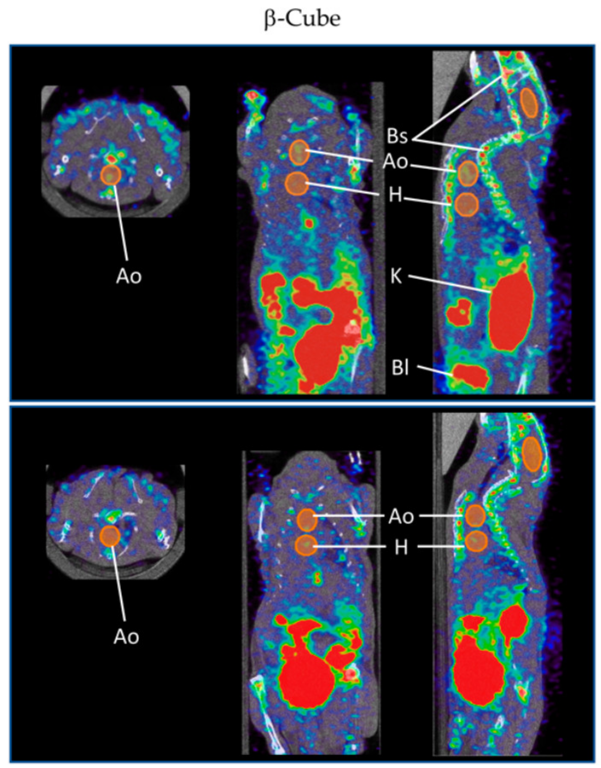 Biology 09 00368 g006 Biology 09 00368 g006
