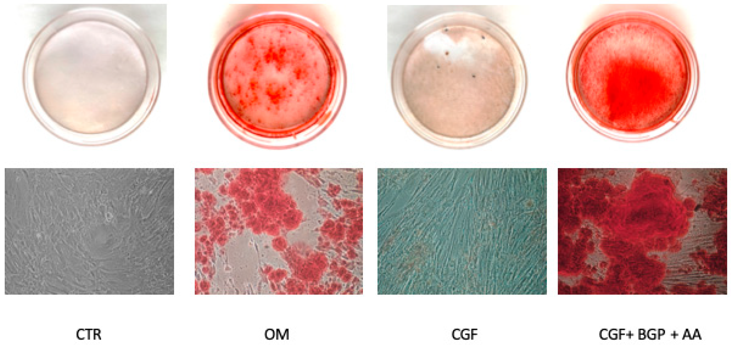 Biology 09 00370 g003 Biology 09 00370 g003