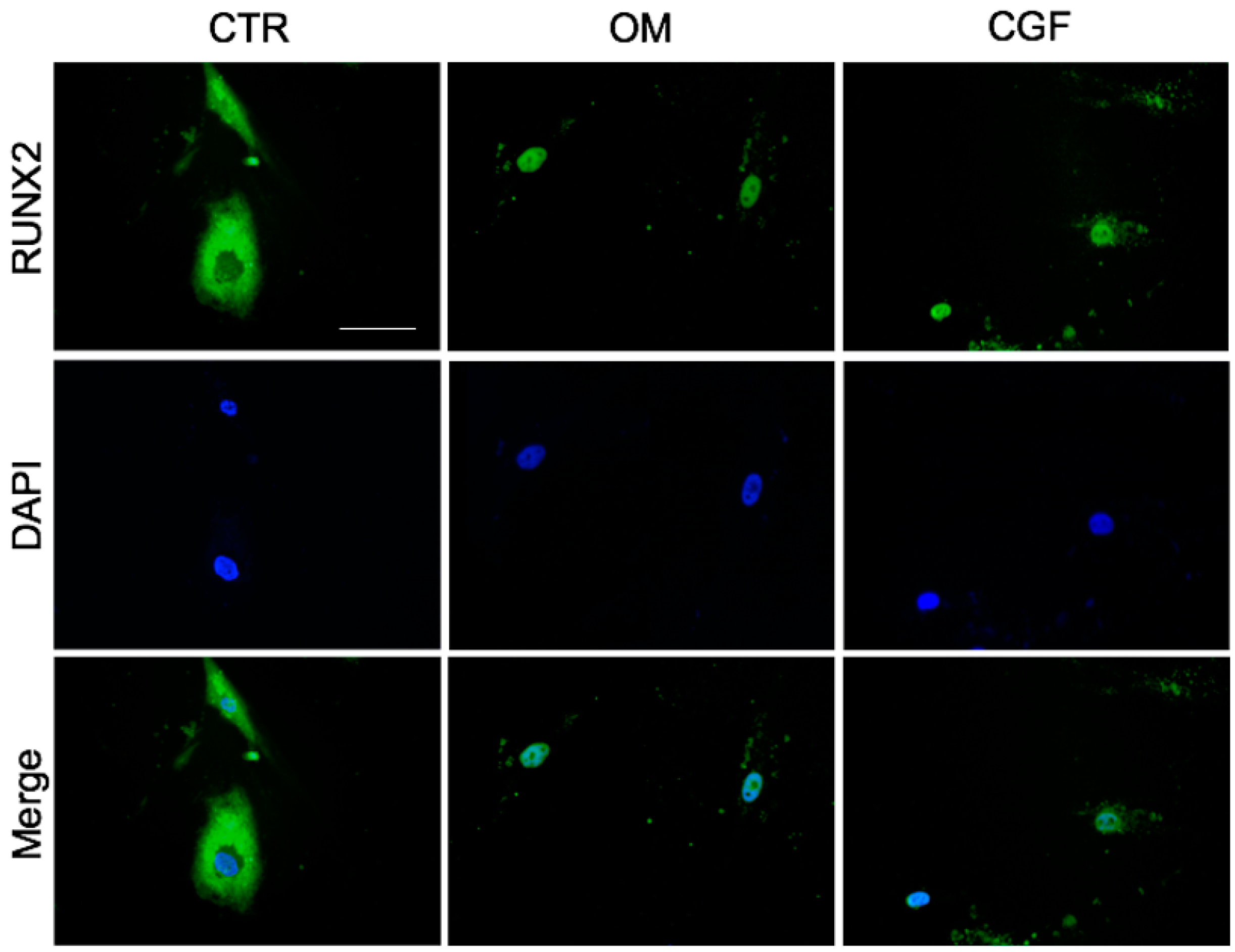 Biology 09 00370 g007 Biology 09 00370 g007