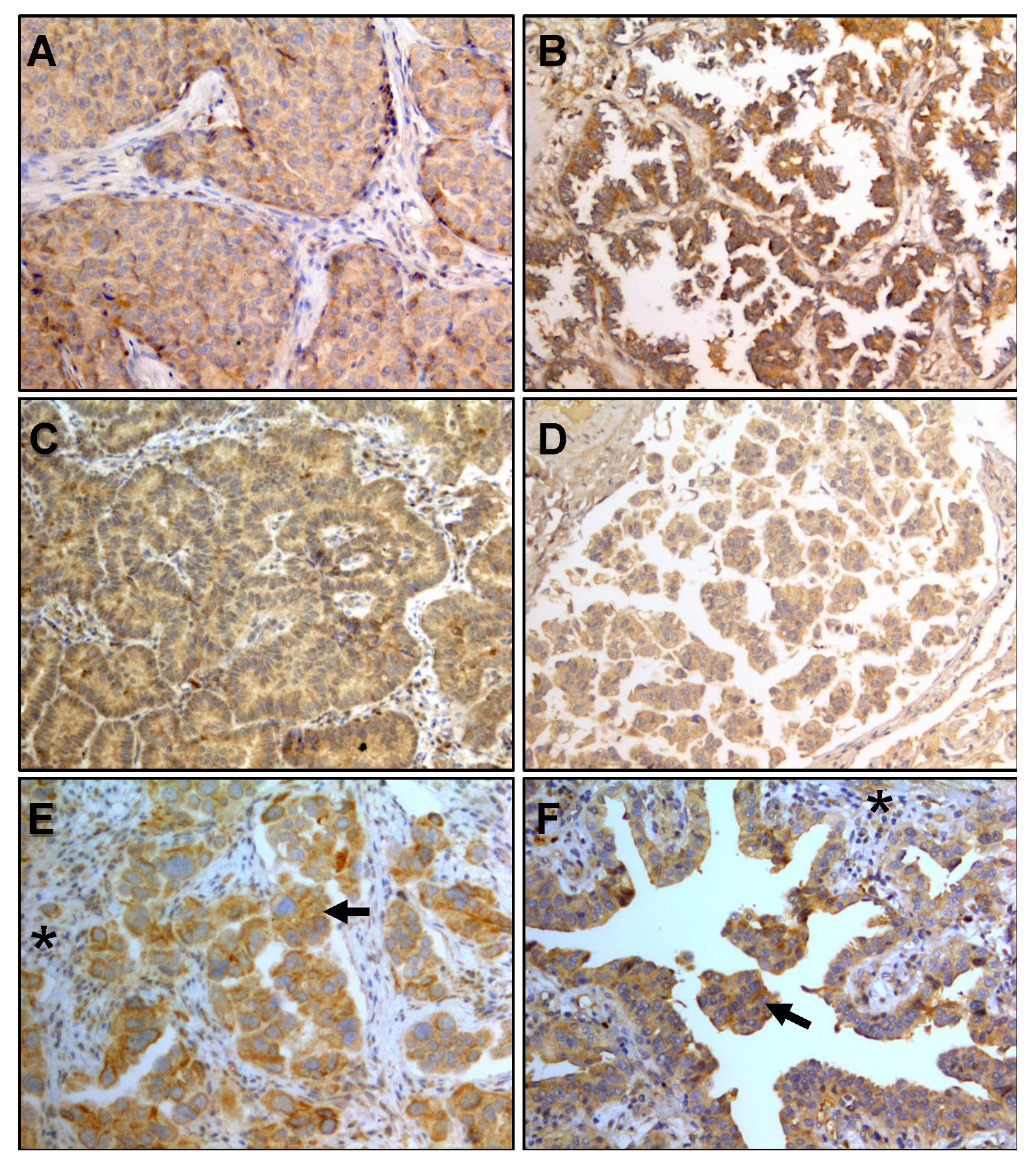 Biology 09 00376 g001 Biology 09 00376 g001