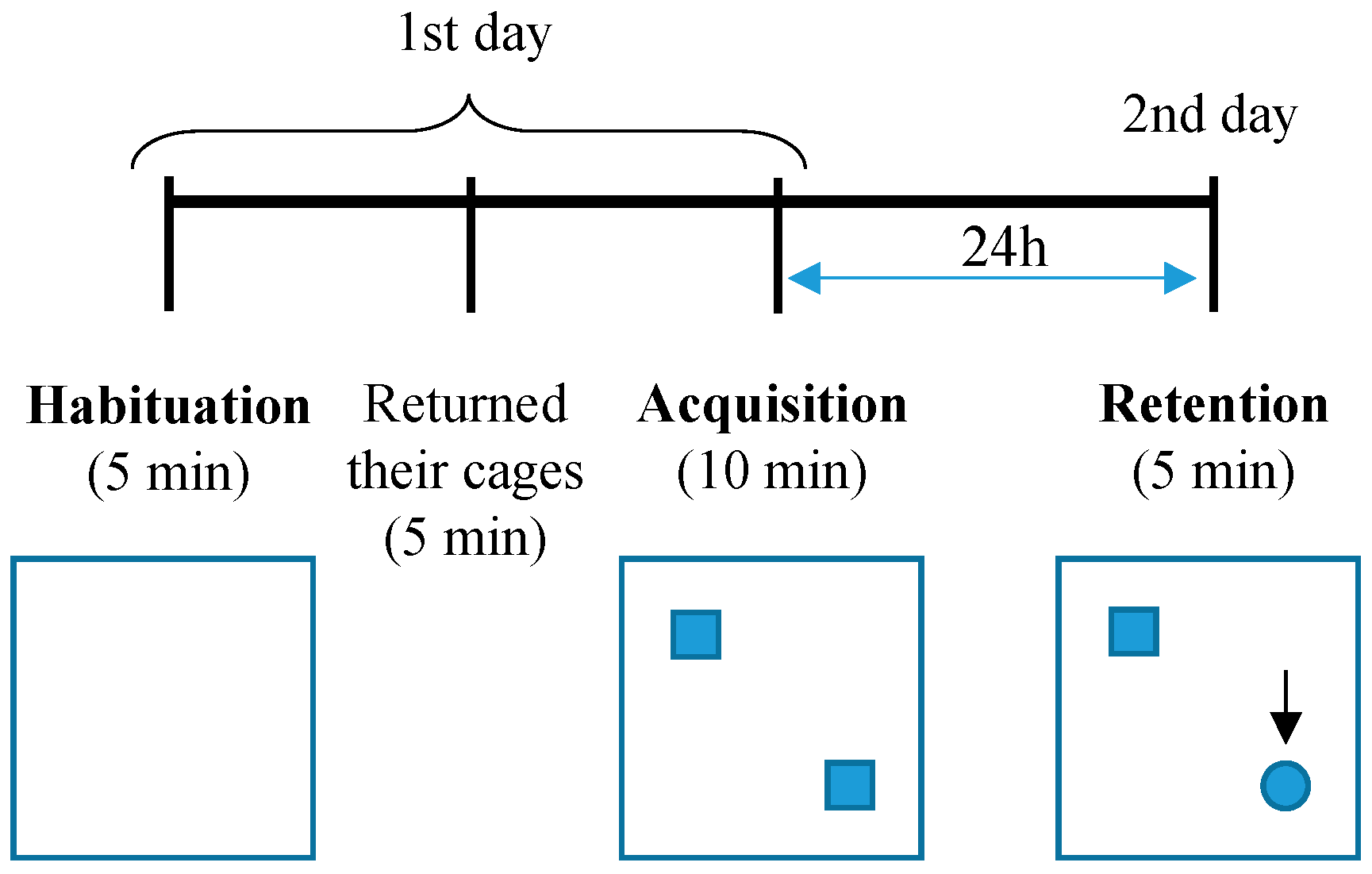 Biology 09 00377 g001 Biology 09 00377 g001
