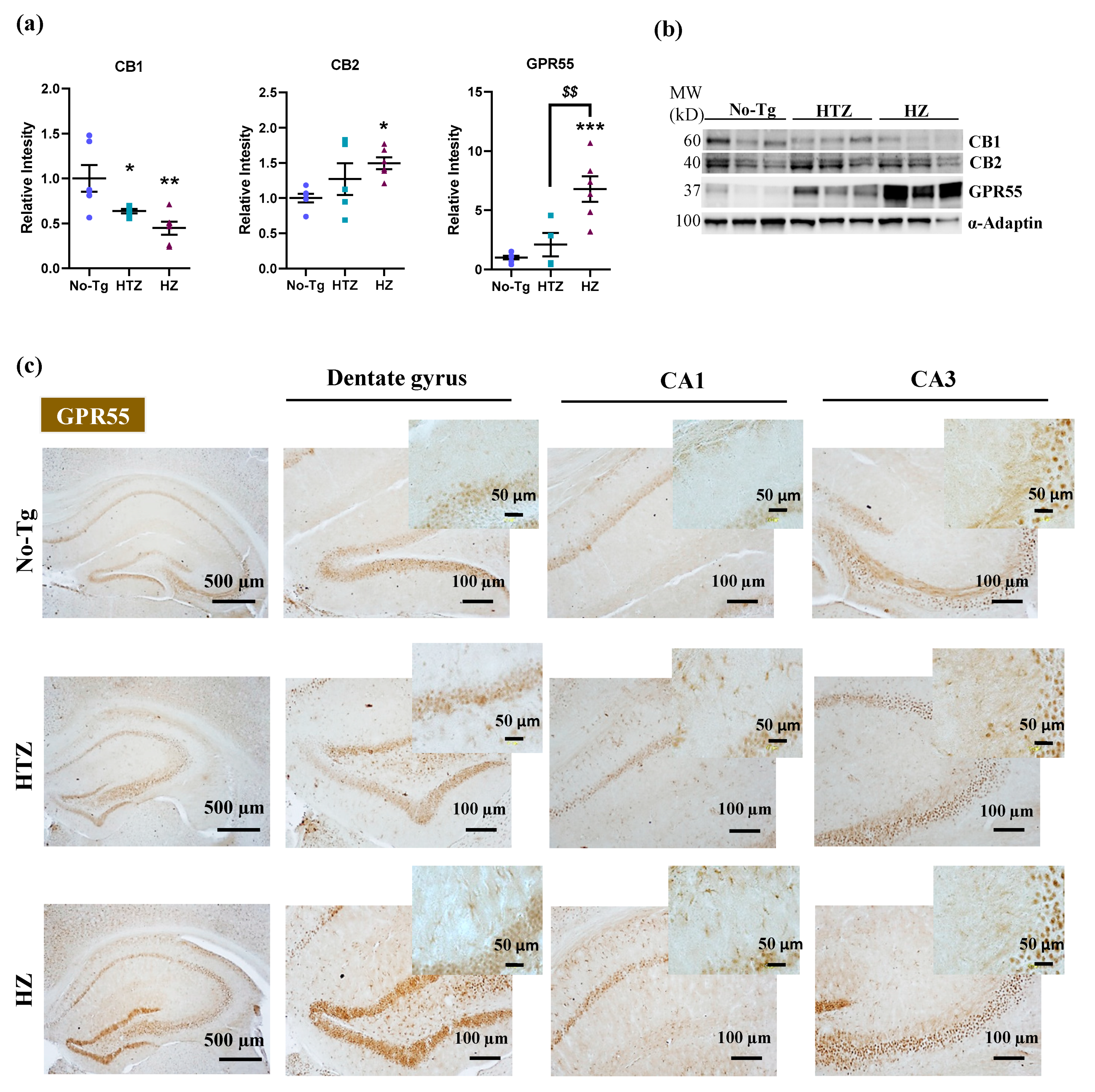 Biology 09 00377 g003 Biology 09 00377 g003