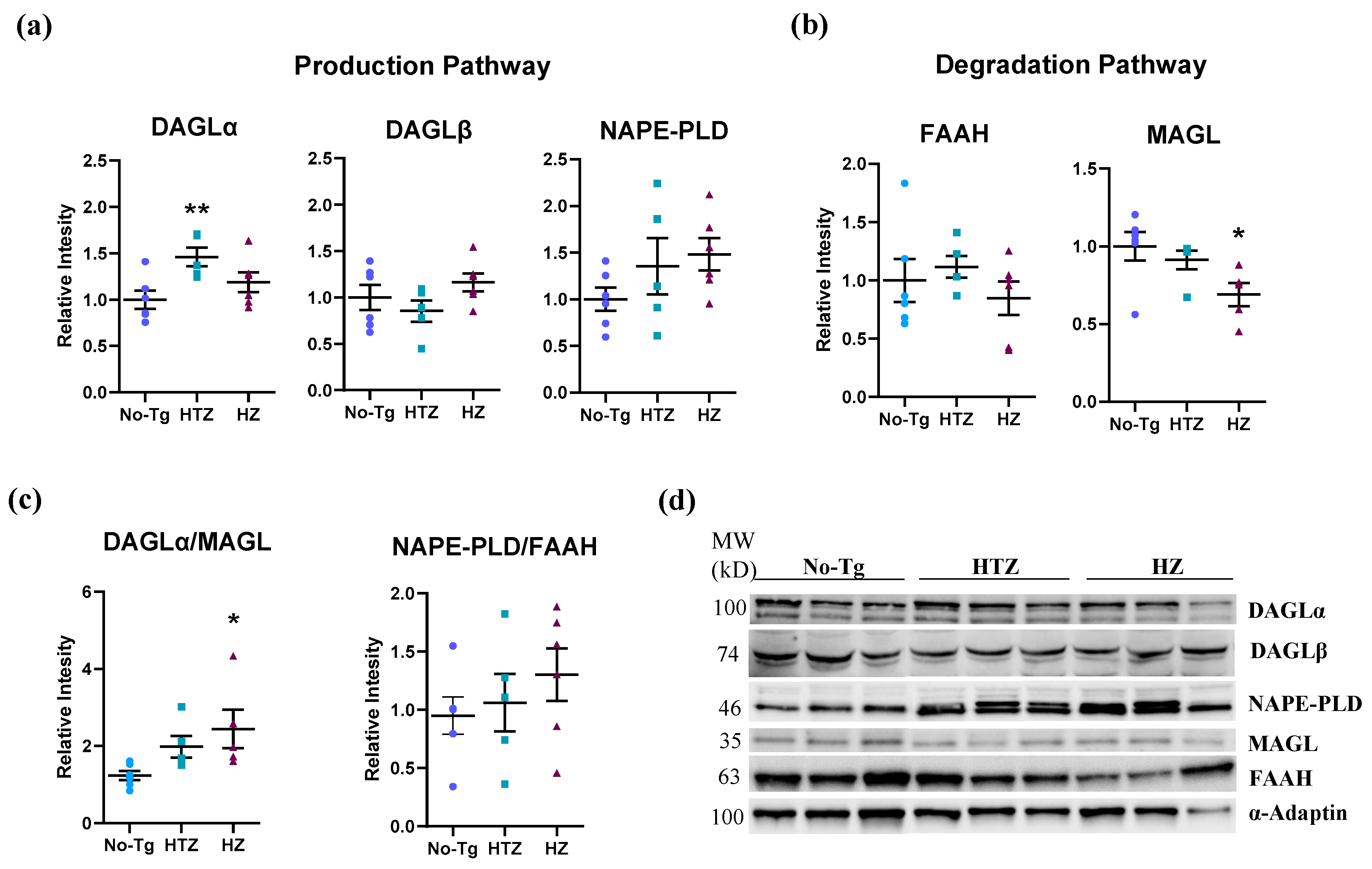 Biology 09 00377 g004 Biology 09 00377 g004