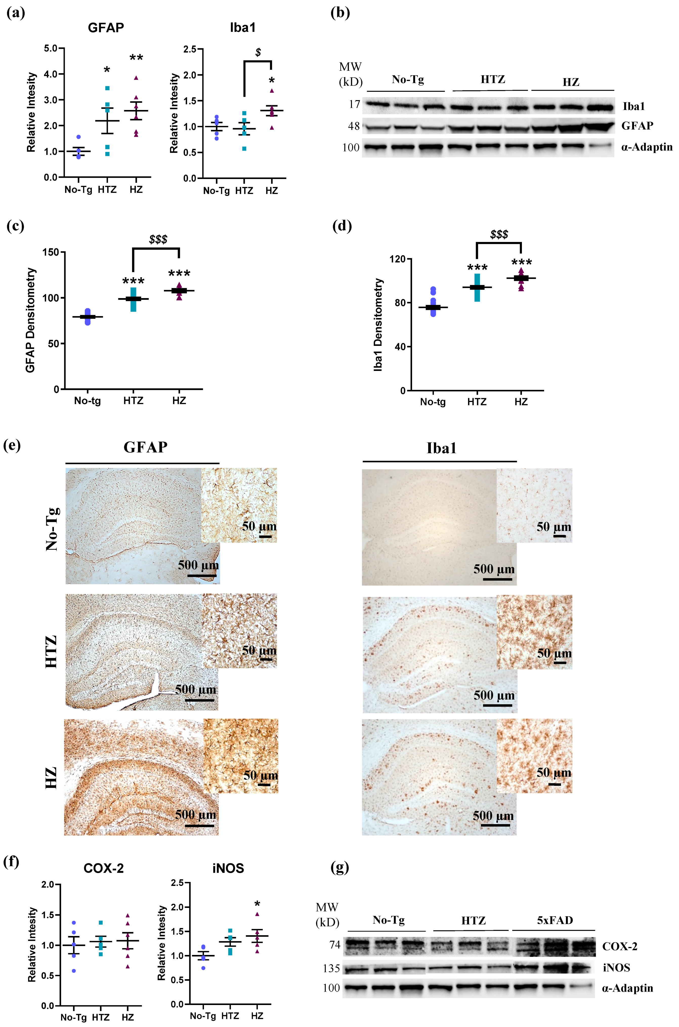 Biology 09 00377 g005 Biology 09 00377 g005