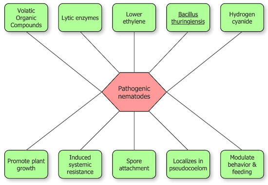 Biology 09 00381 g002 550