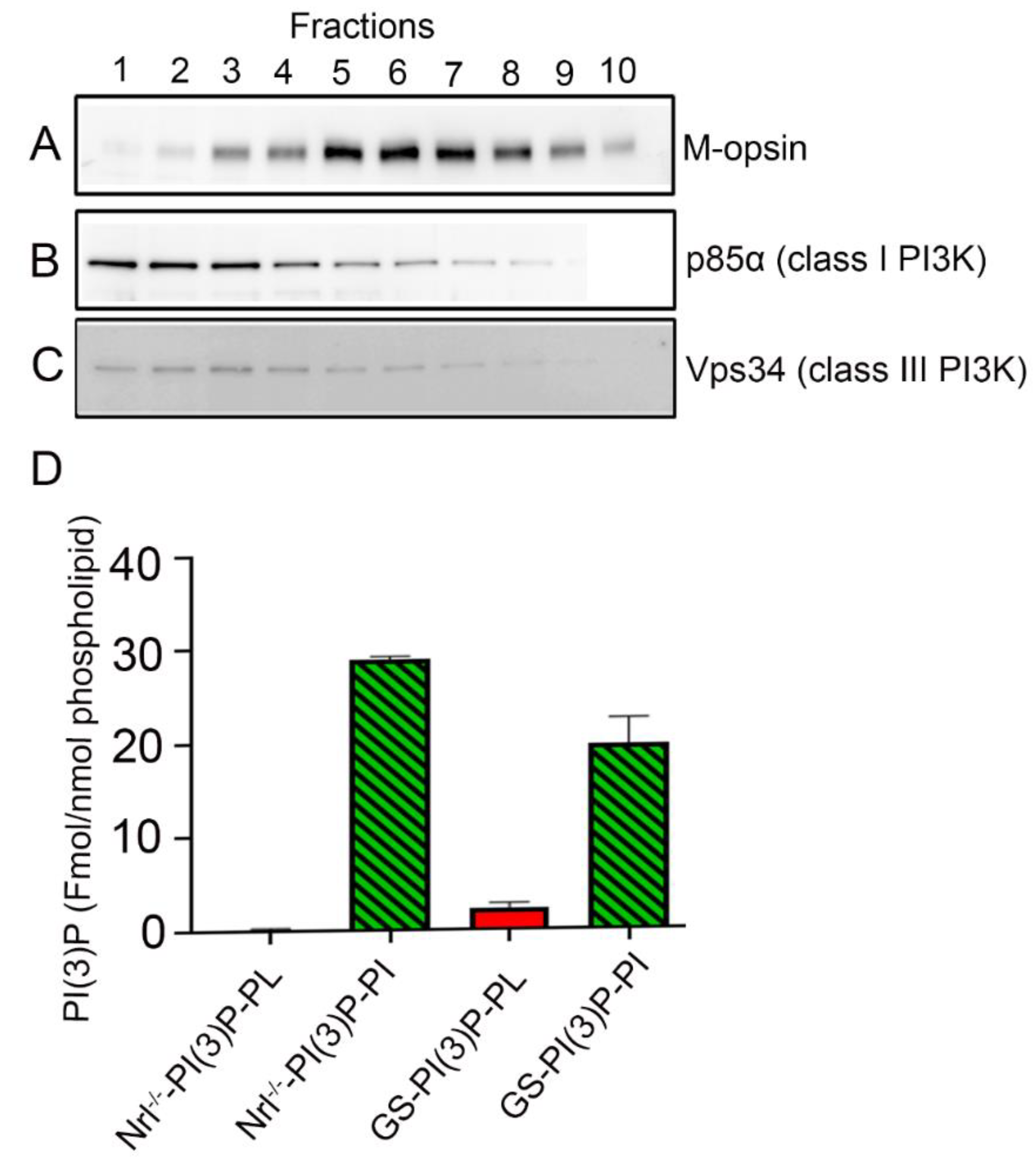 Biology 09 00384 g002 Biology 09 00384 g002