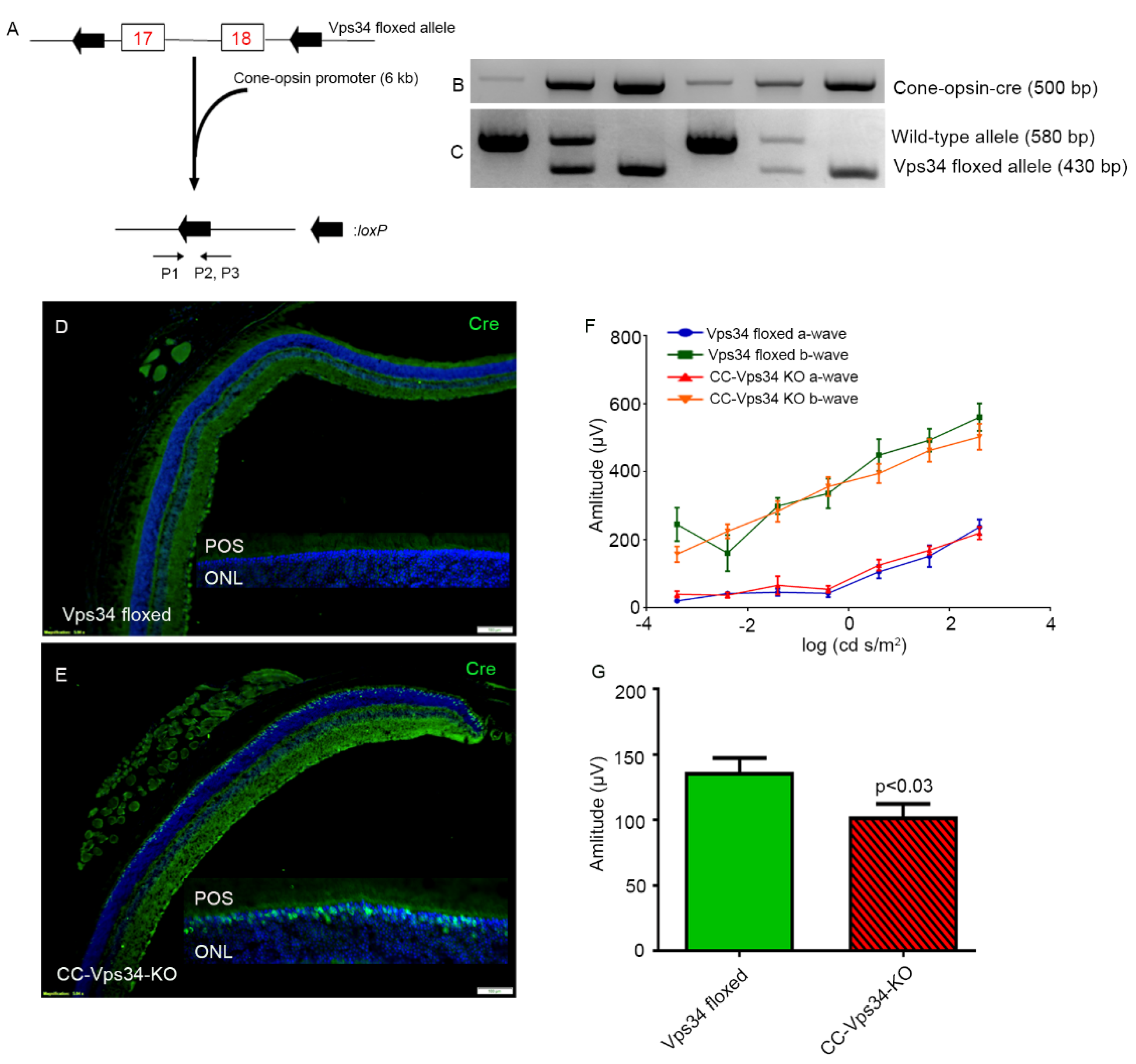 Biology 09 00384 g003 Biology 09 00384 g003