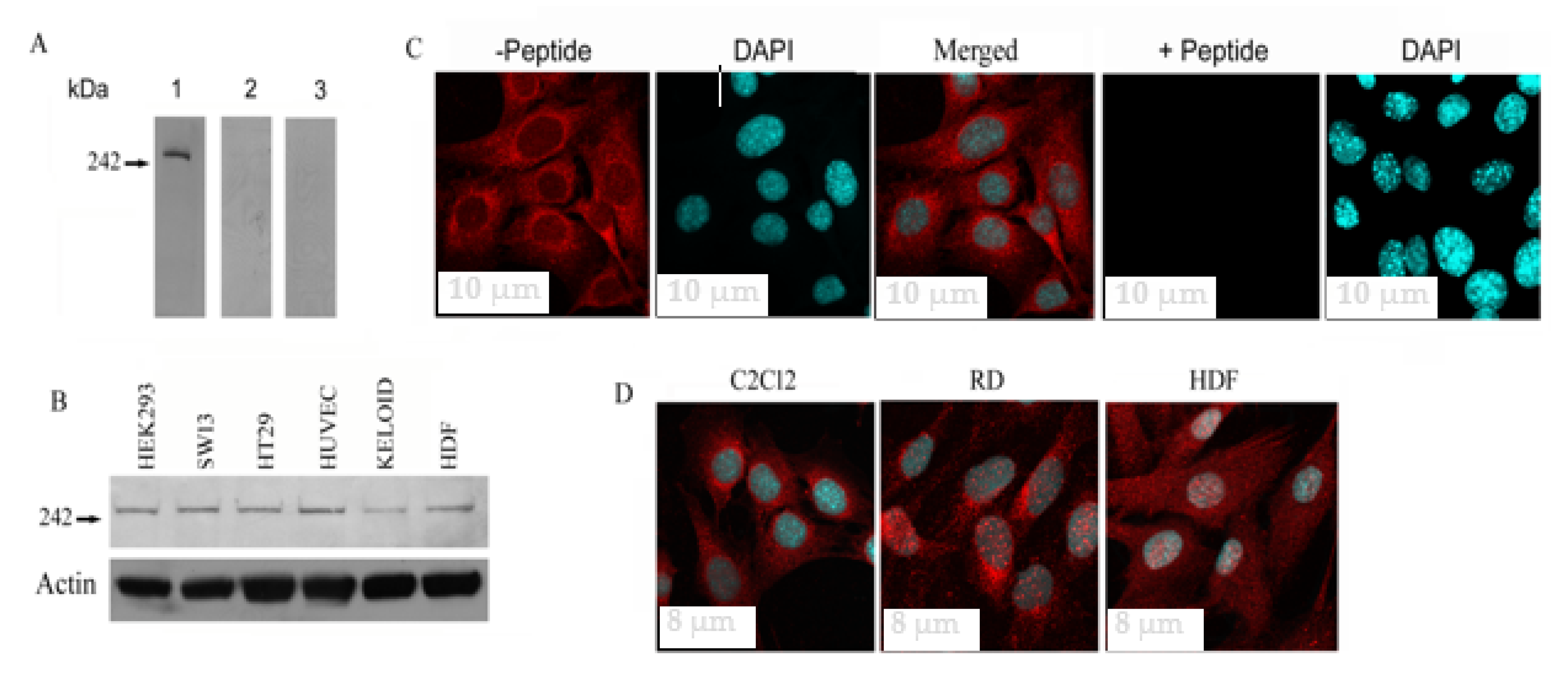 Biology 09 00386 g001 Biology 09 00386 g001