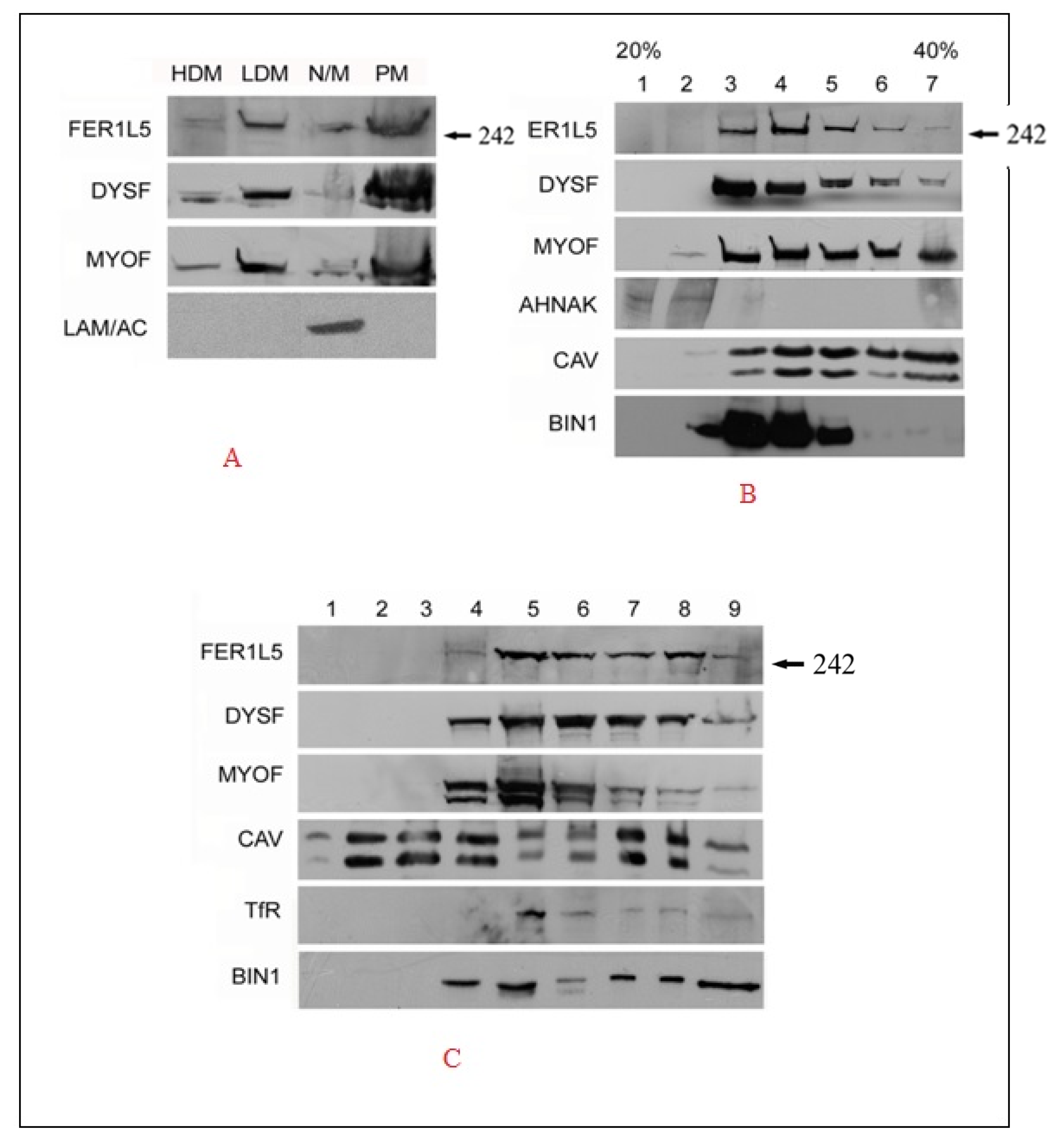 Biology 09 00386 g002 Biology 09 00386 g002