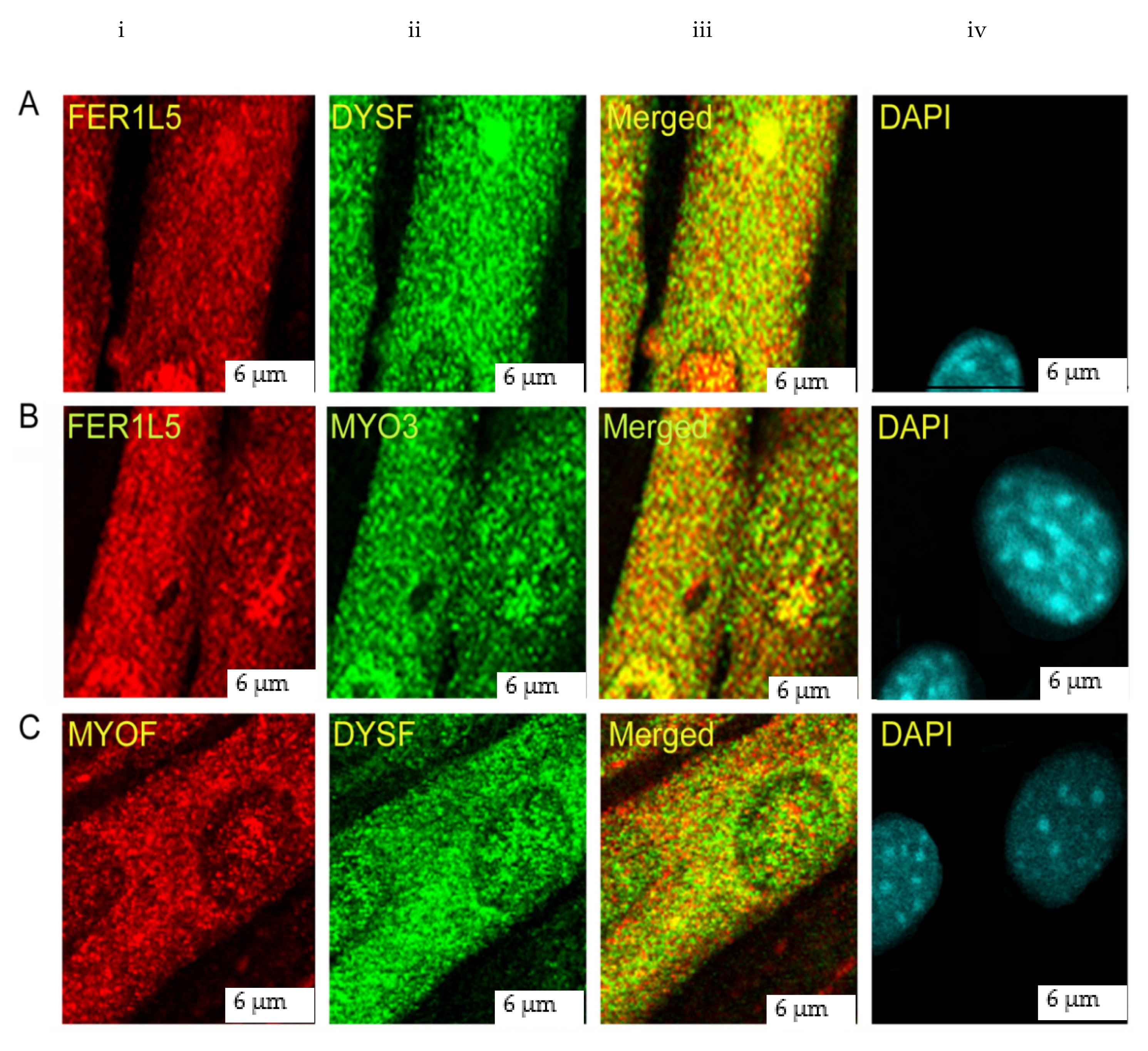 Biology 09 00386 g003 Biology 09 00386 g003