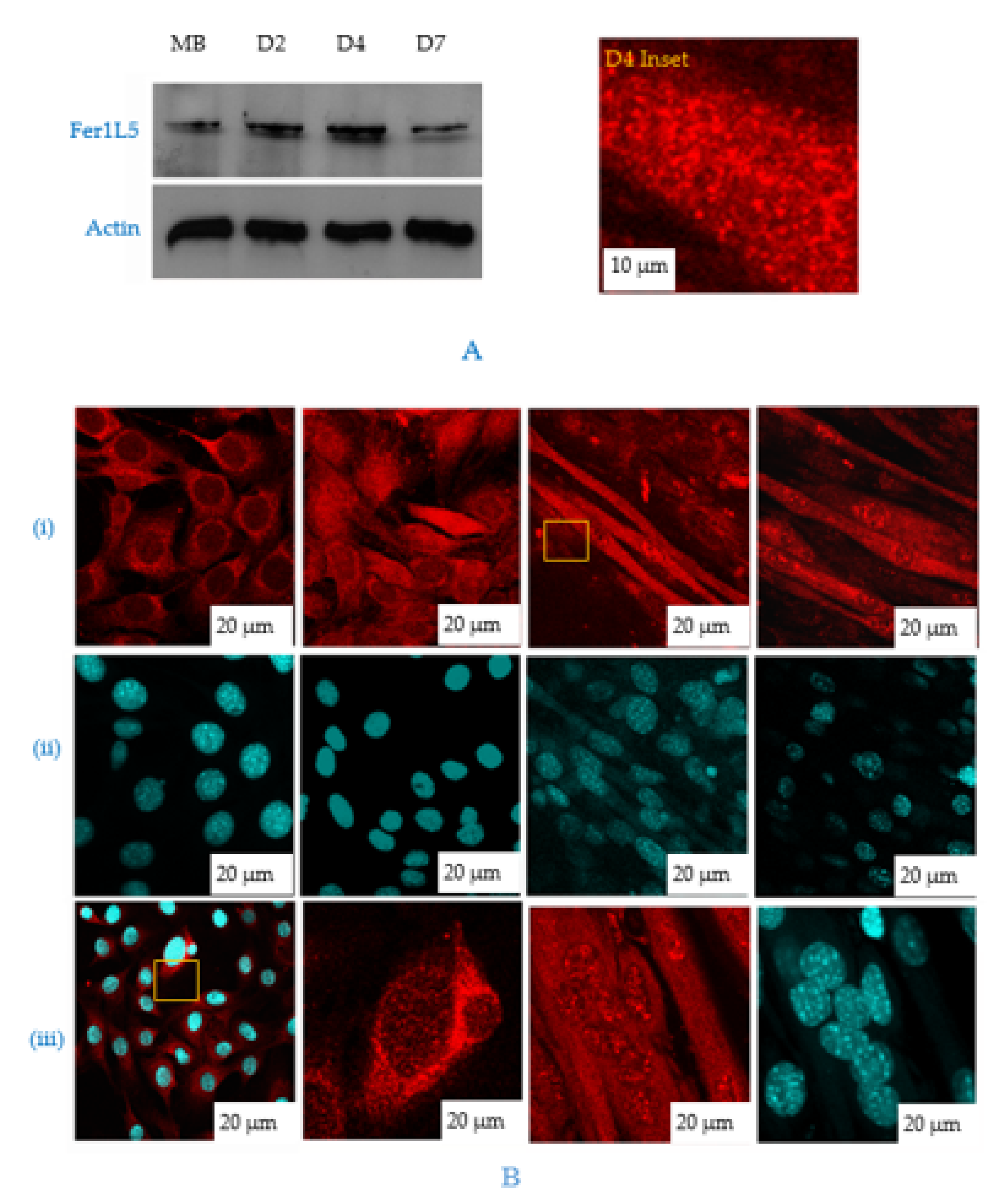 Biology 09 00386 g004 Biology 09 00386 g004