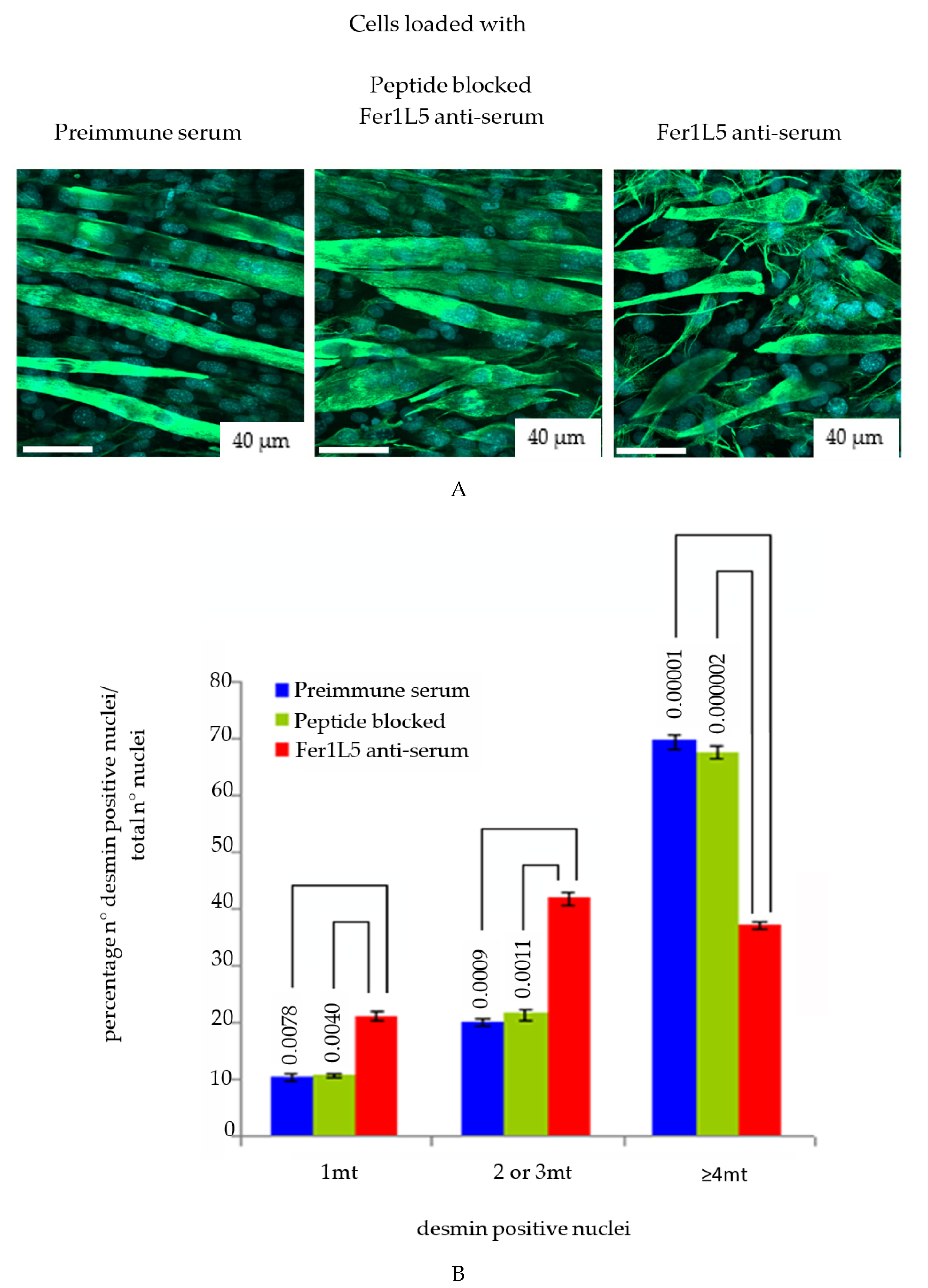 Biology 09 00386 g005 Biology 09 00386 g005