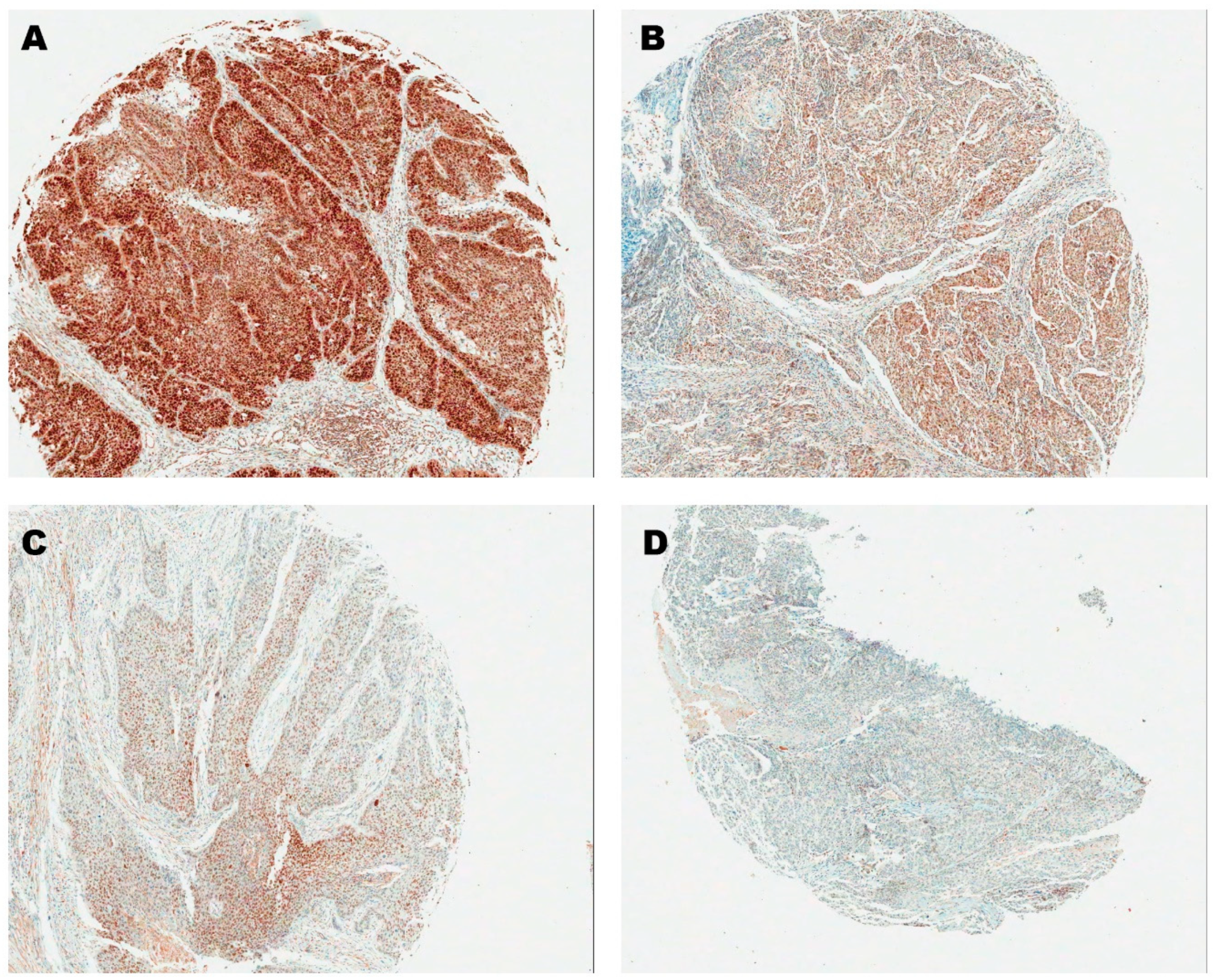 Biology 09 00387 g002 Biology 09 00387 g002