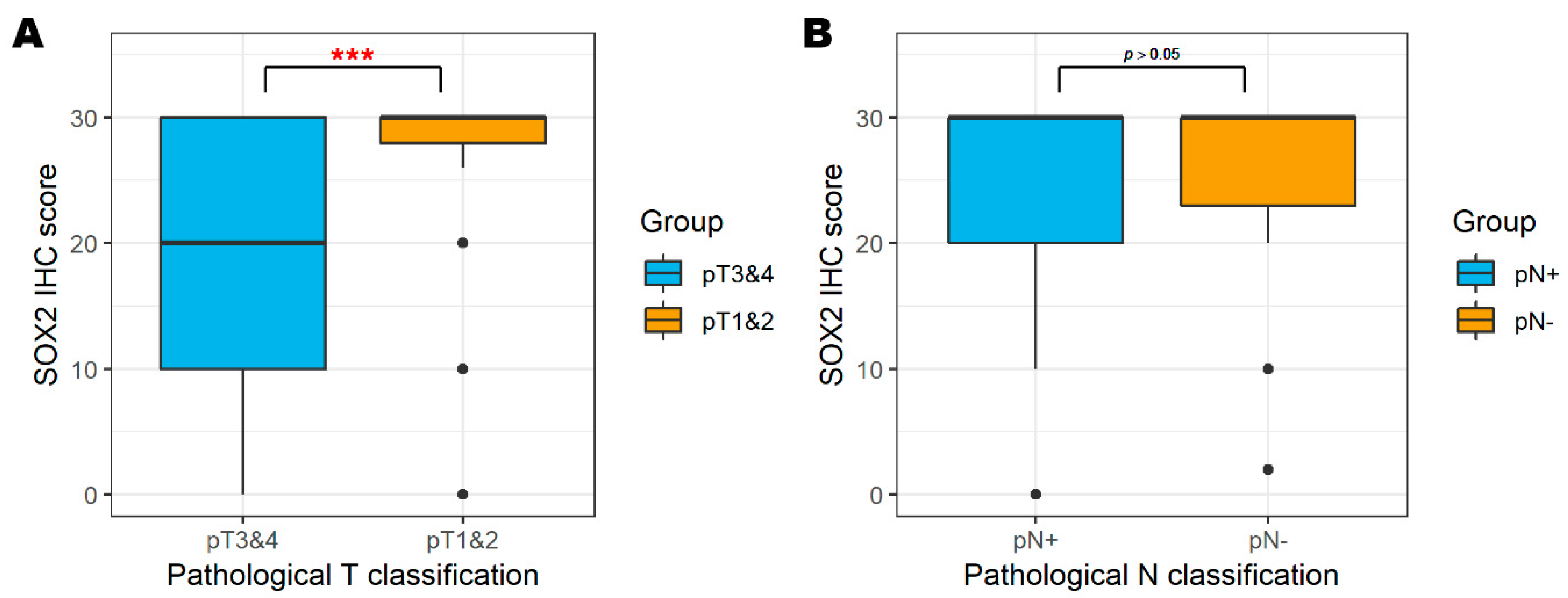 Biology 09 00387 g003 Biology 09 00387 g003