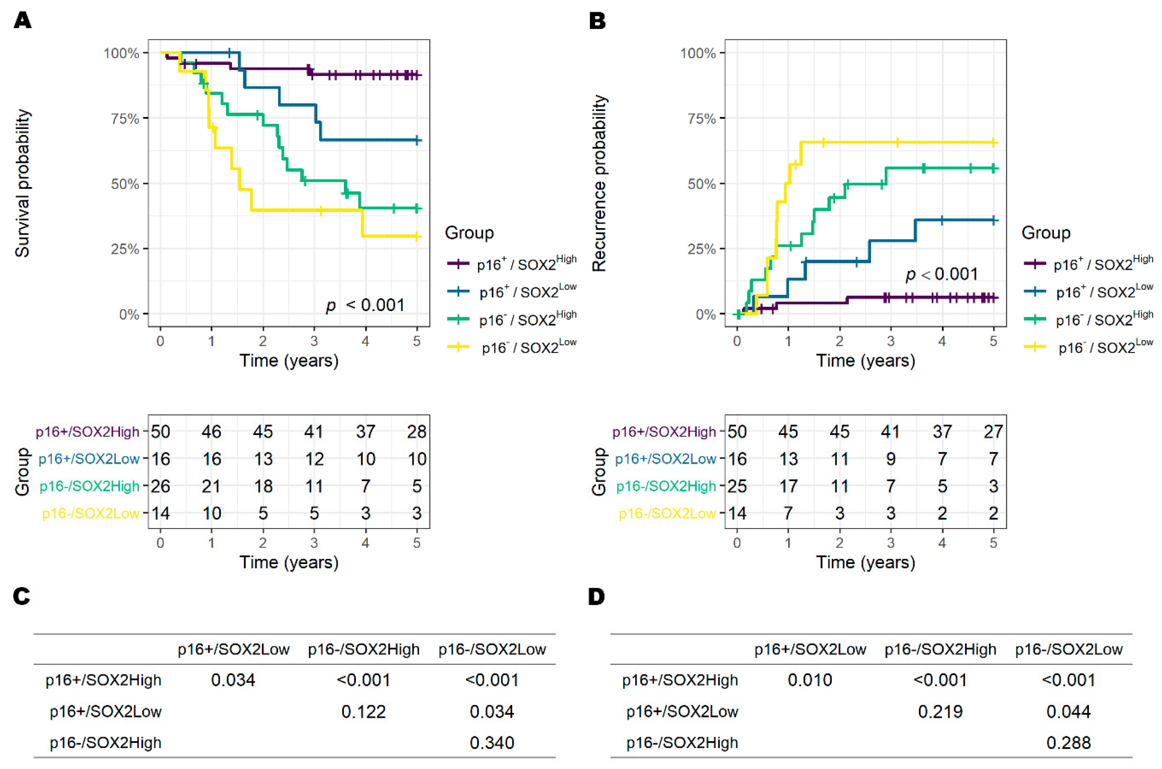 Biology 09 00387 g004 Biology 09 00387 g004