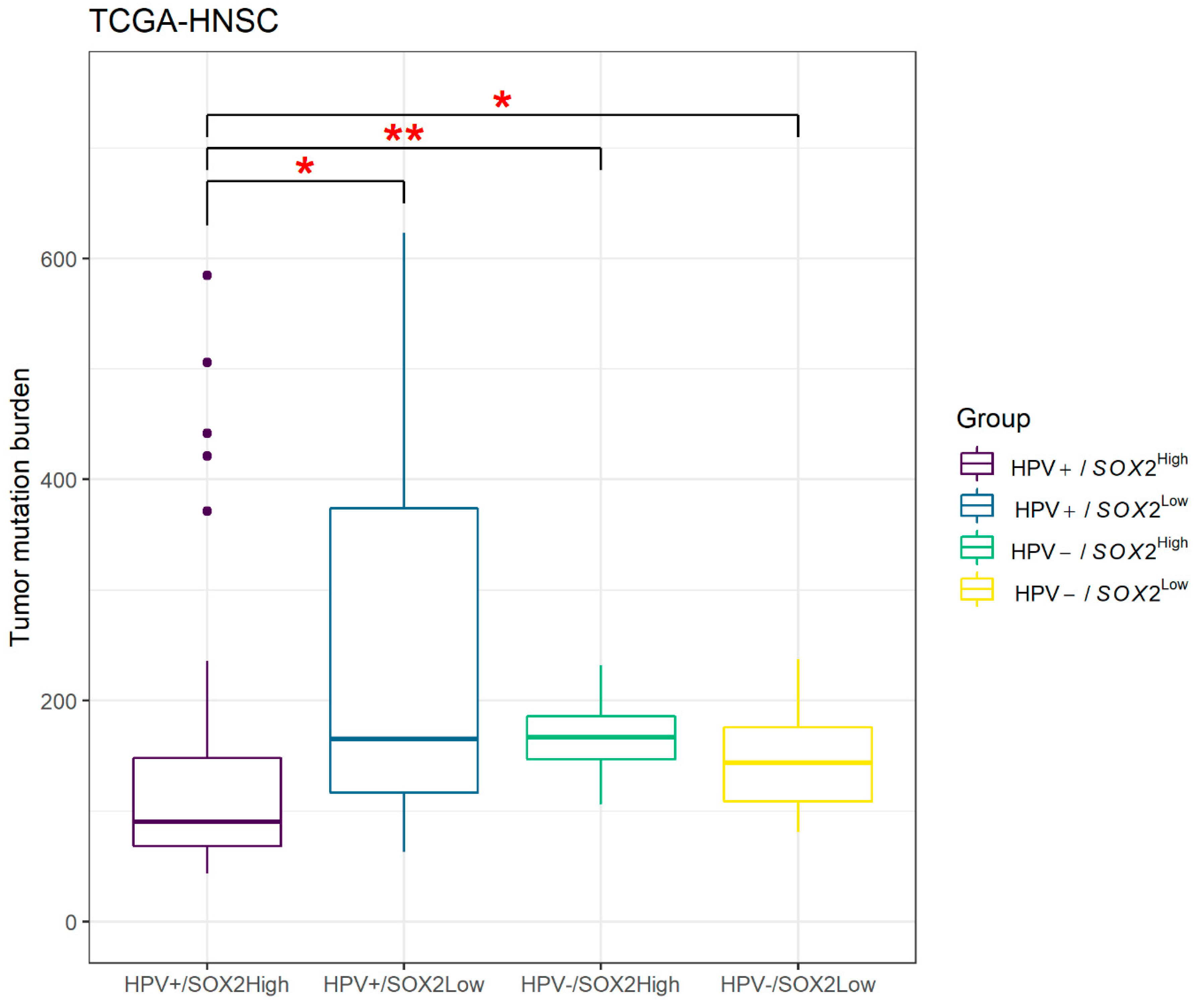 Biology 09 00387 g007 Biology 09 00387 g007