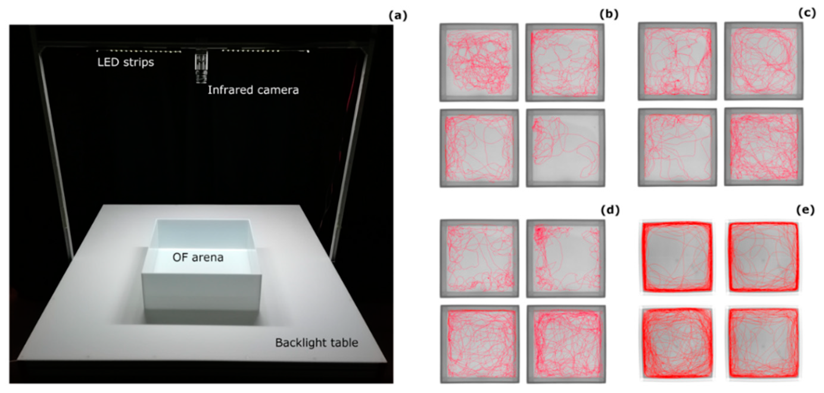Biology 09 00389 g001