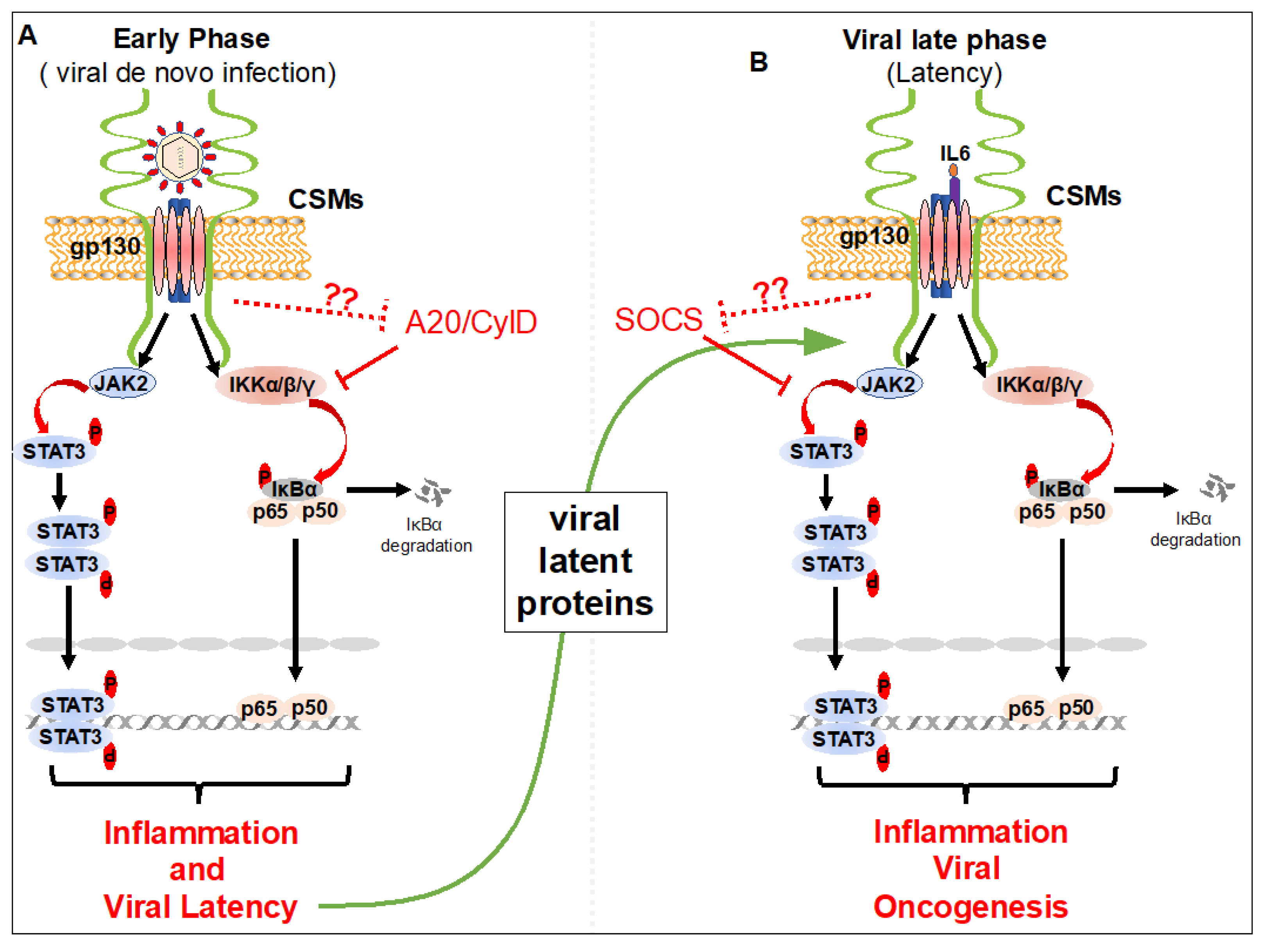 Biology 09 00390 g002 Biology 09 00390 g002