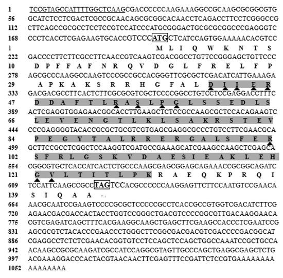 Transcriptional Responses of the Heat Shock Protein 20 Transcriptional Responses of the Heat Shock Protein 20