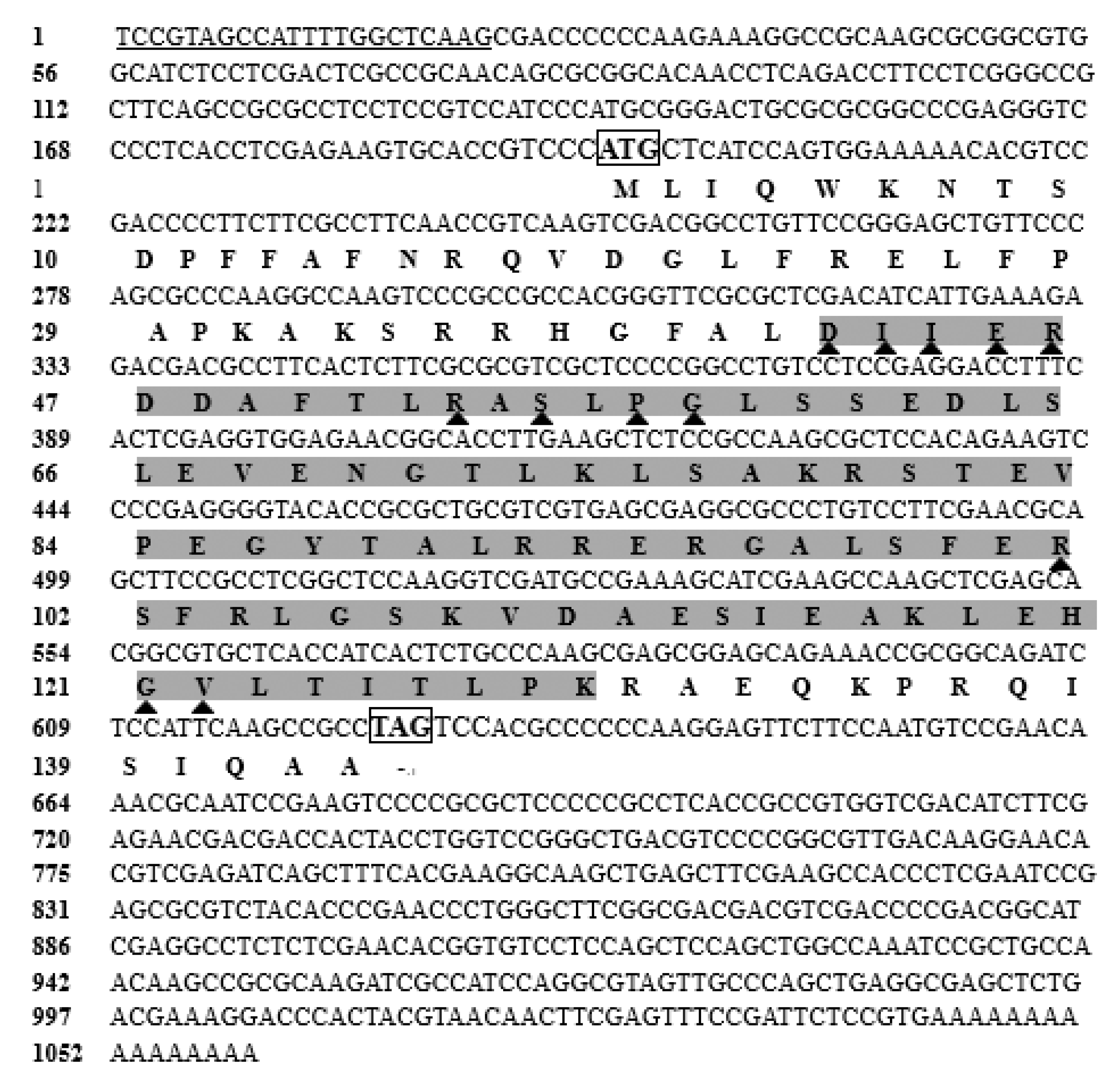 Biology | Free Full-Text | Transcriptional Responses of the Heat 