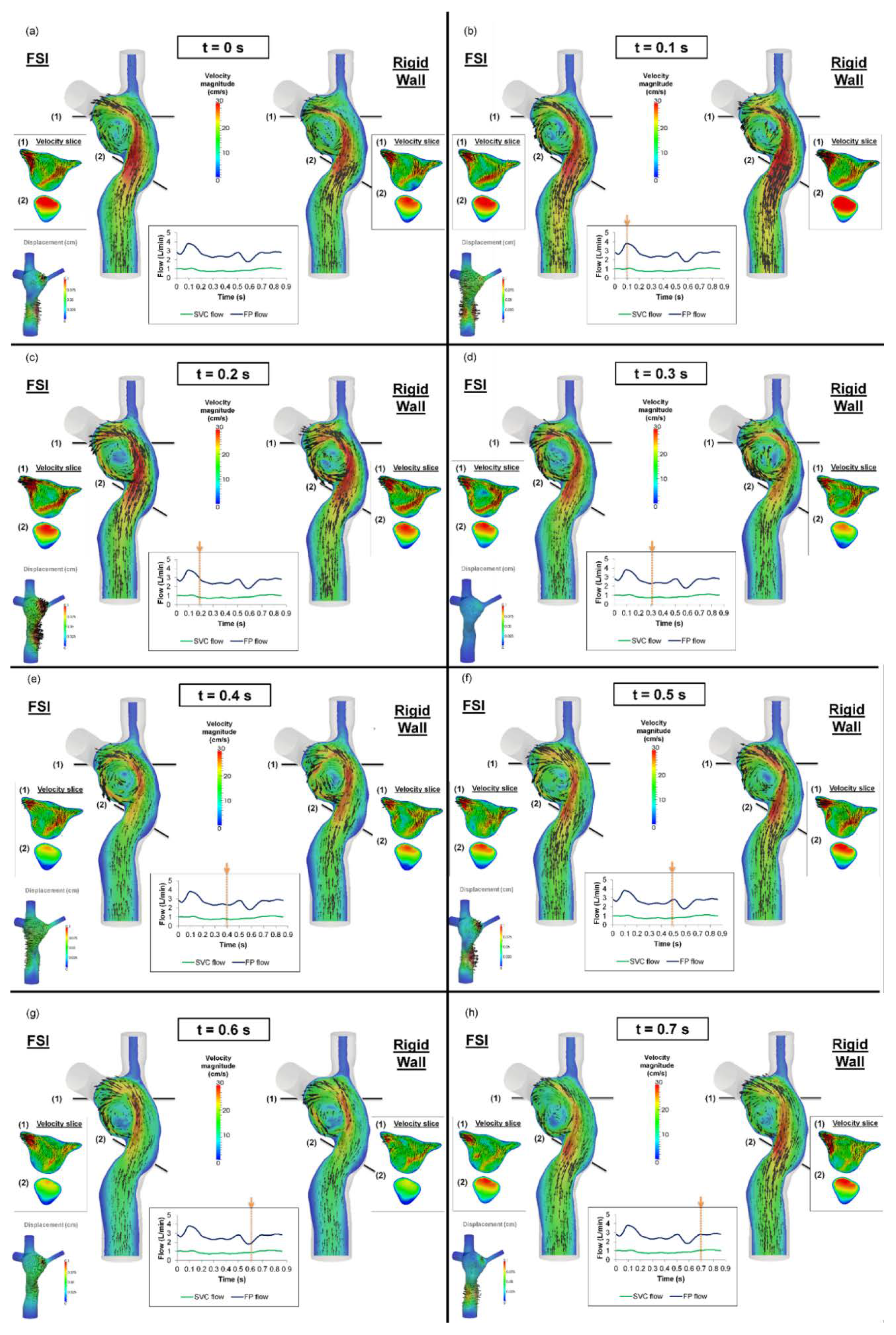 Biology 09 00412 g008 Biology 09 00412 g008