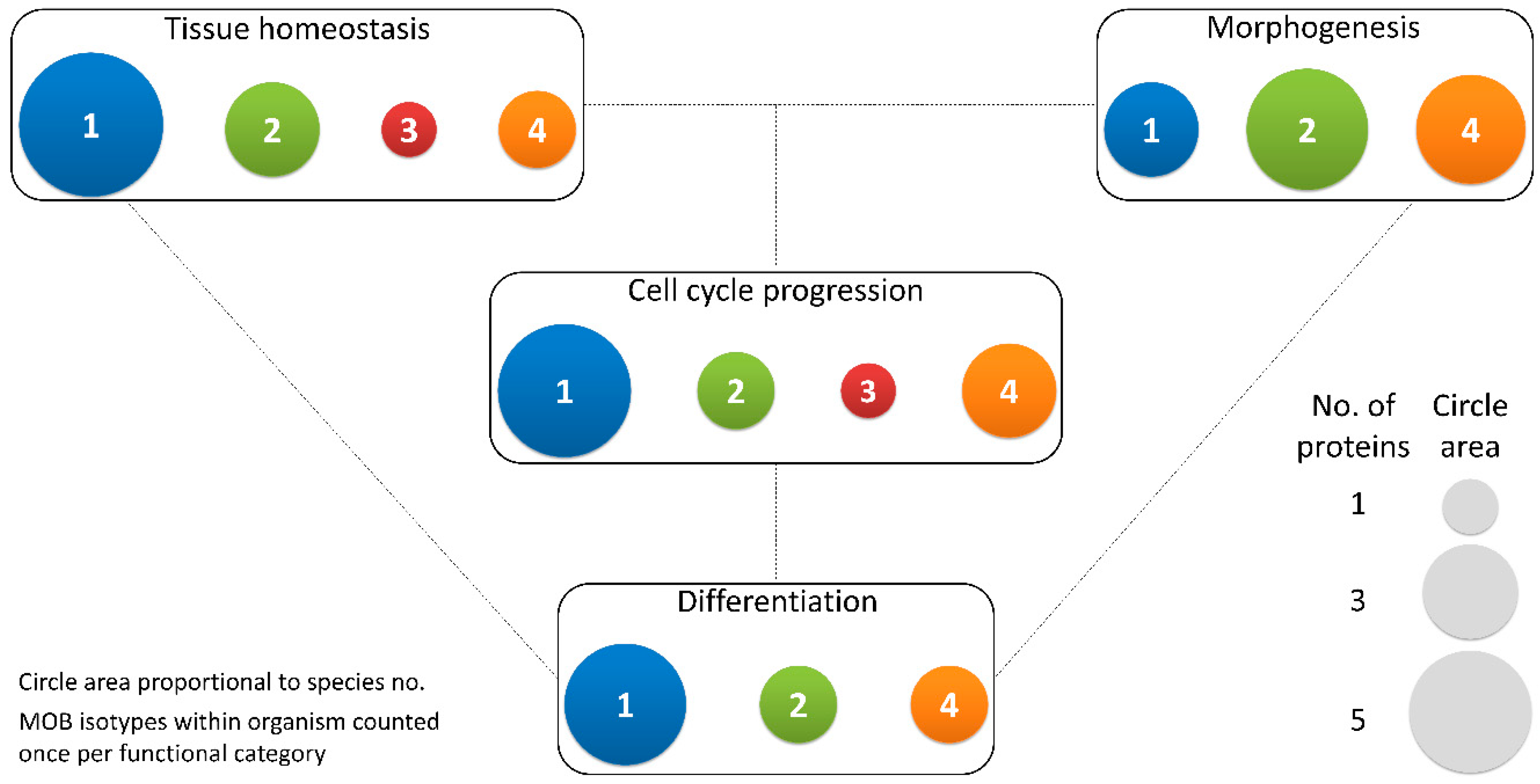 Biology 09 00413 g003 Biology 09 00413 g003