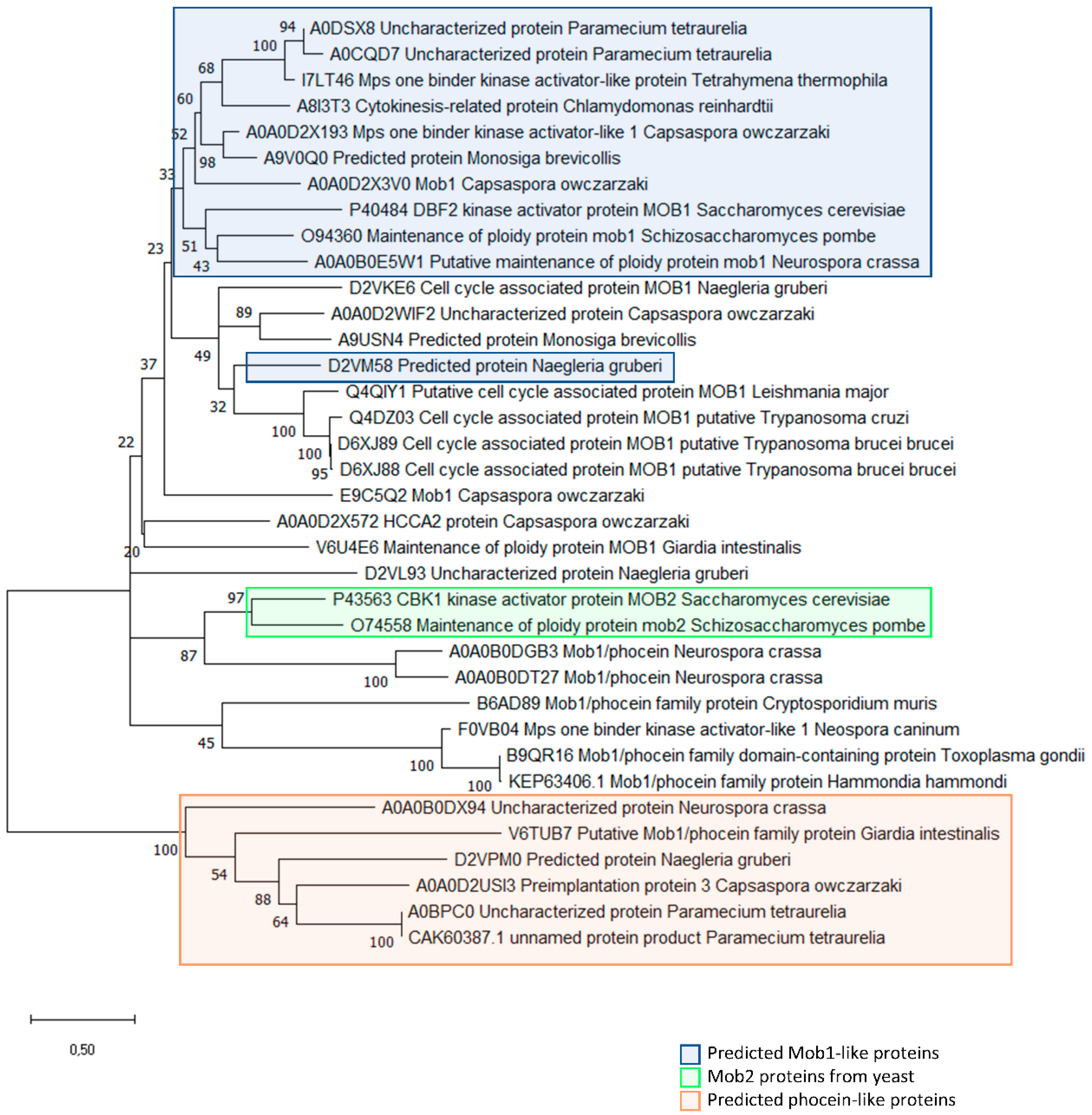 Biology 09 00413 g004 Biology 09 00413 g004