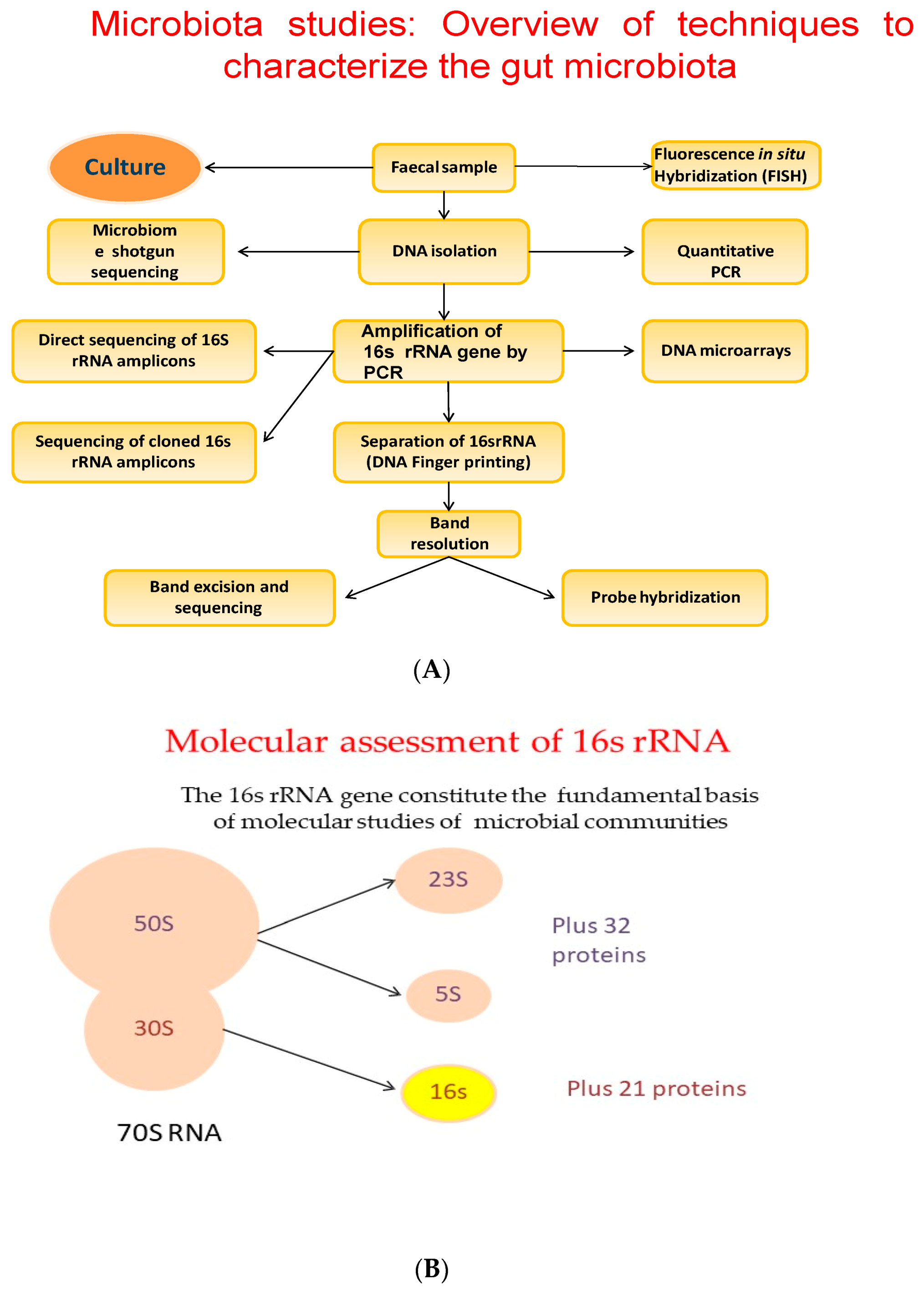 Biology 09 00415 g003