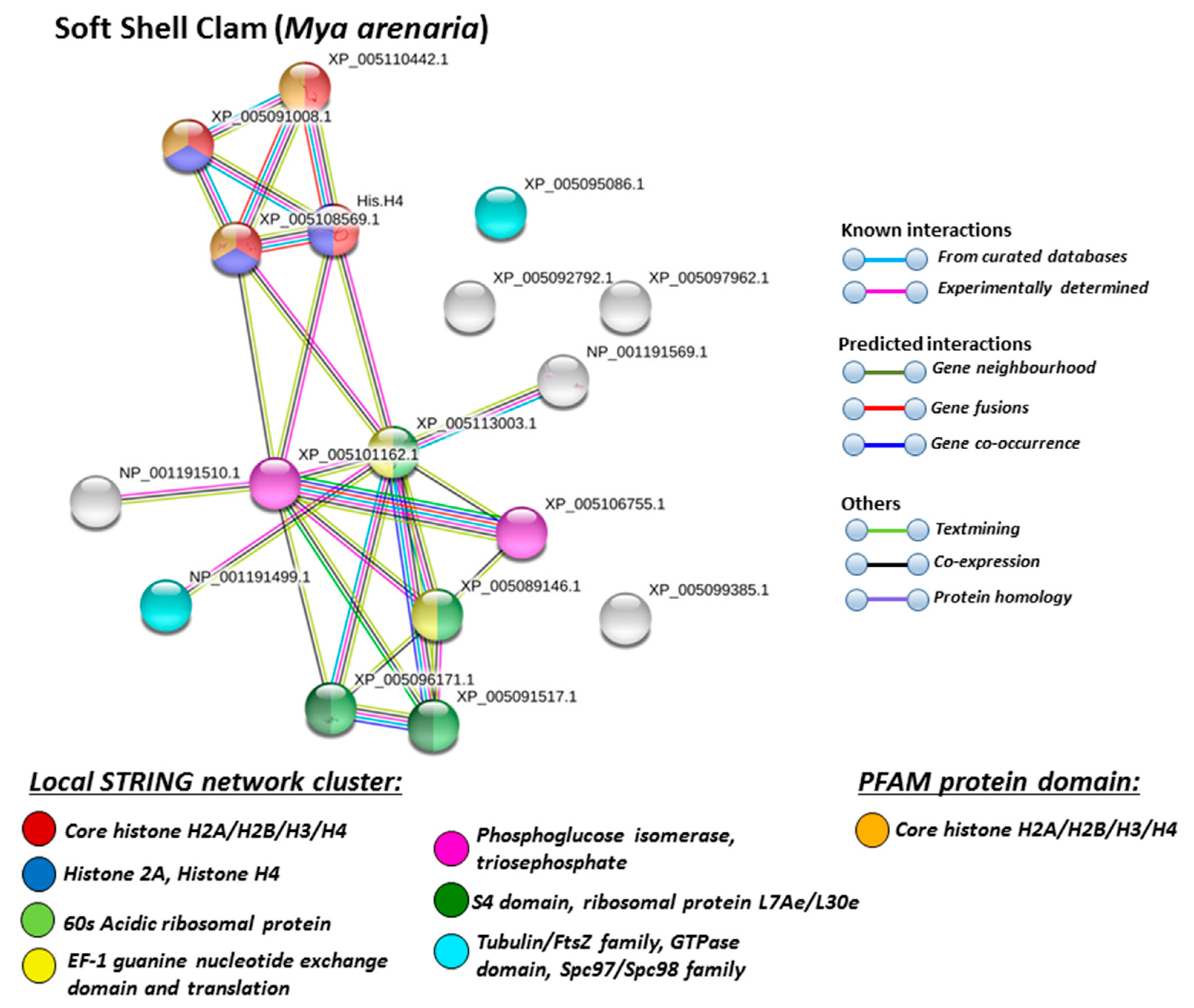 Biology | Free Full-Text | Extracellular Vesicles and Post 