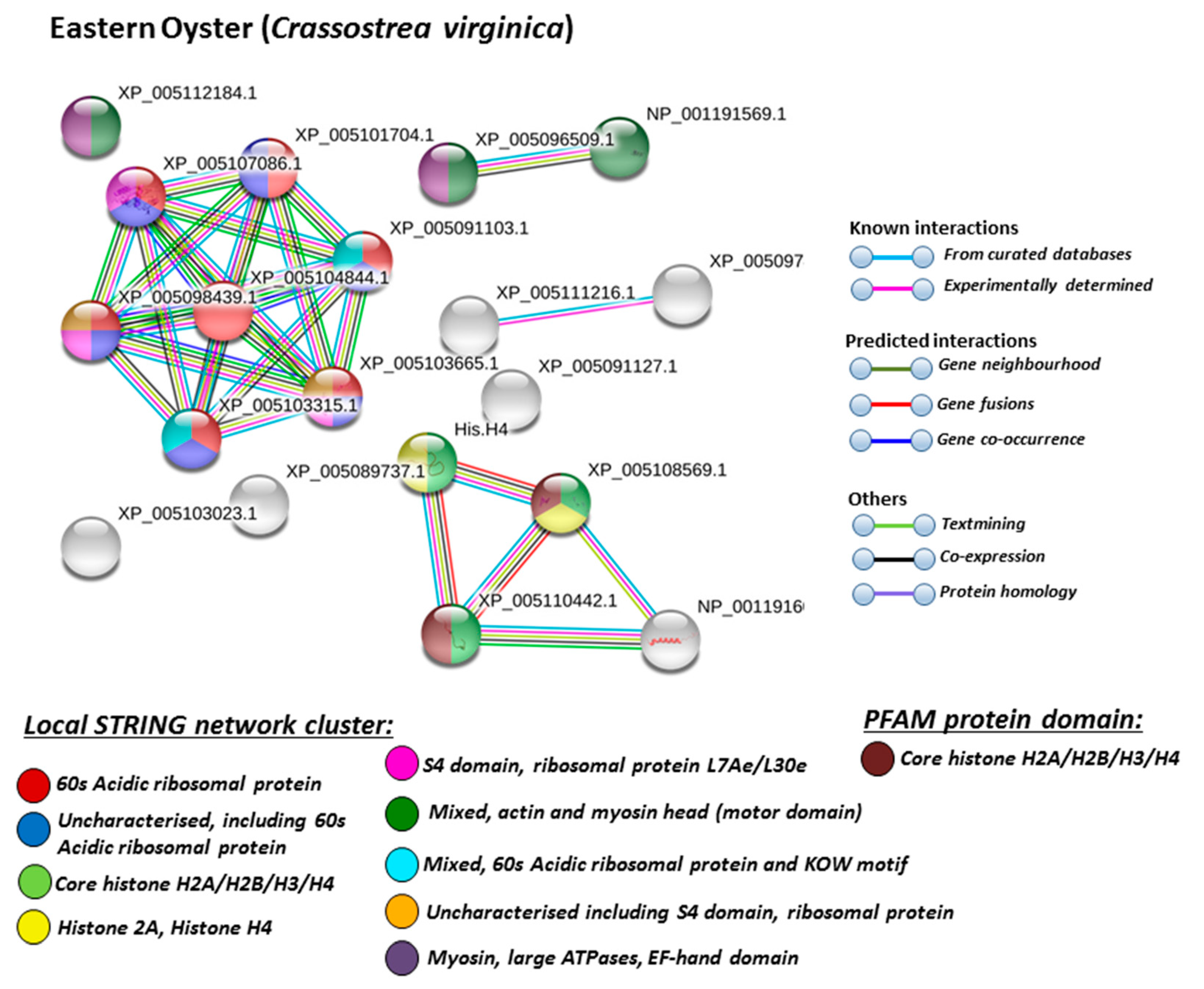 Biology 09 00416 g007