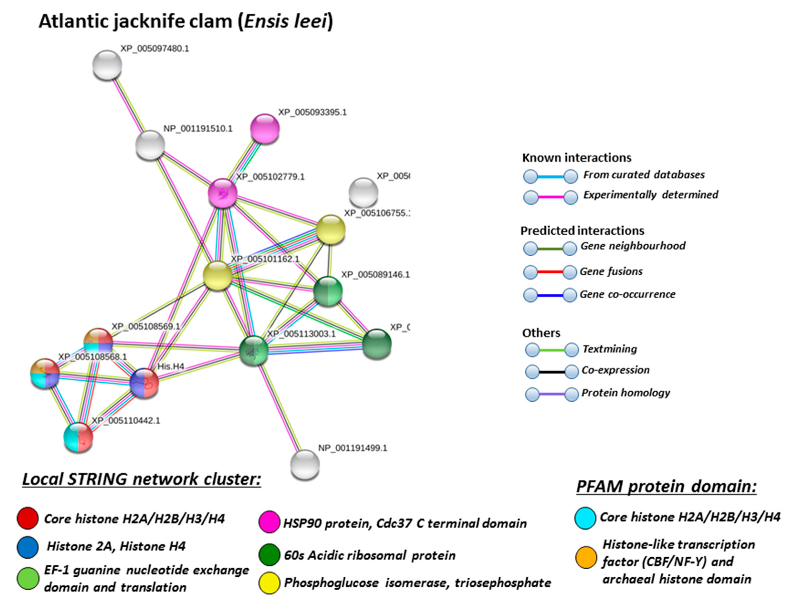 Biology 09 00416 g008