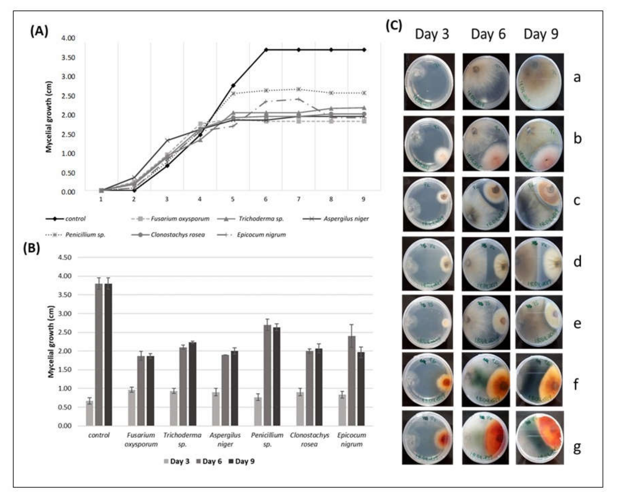 Biology 09 00420 g001 Biology 09 00420 g001