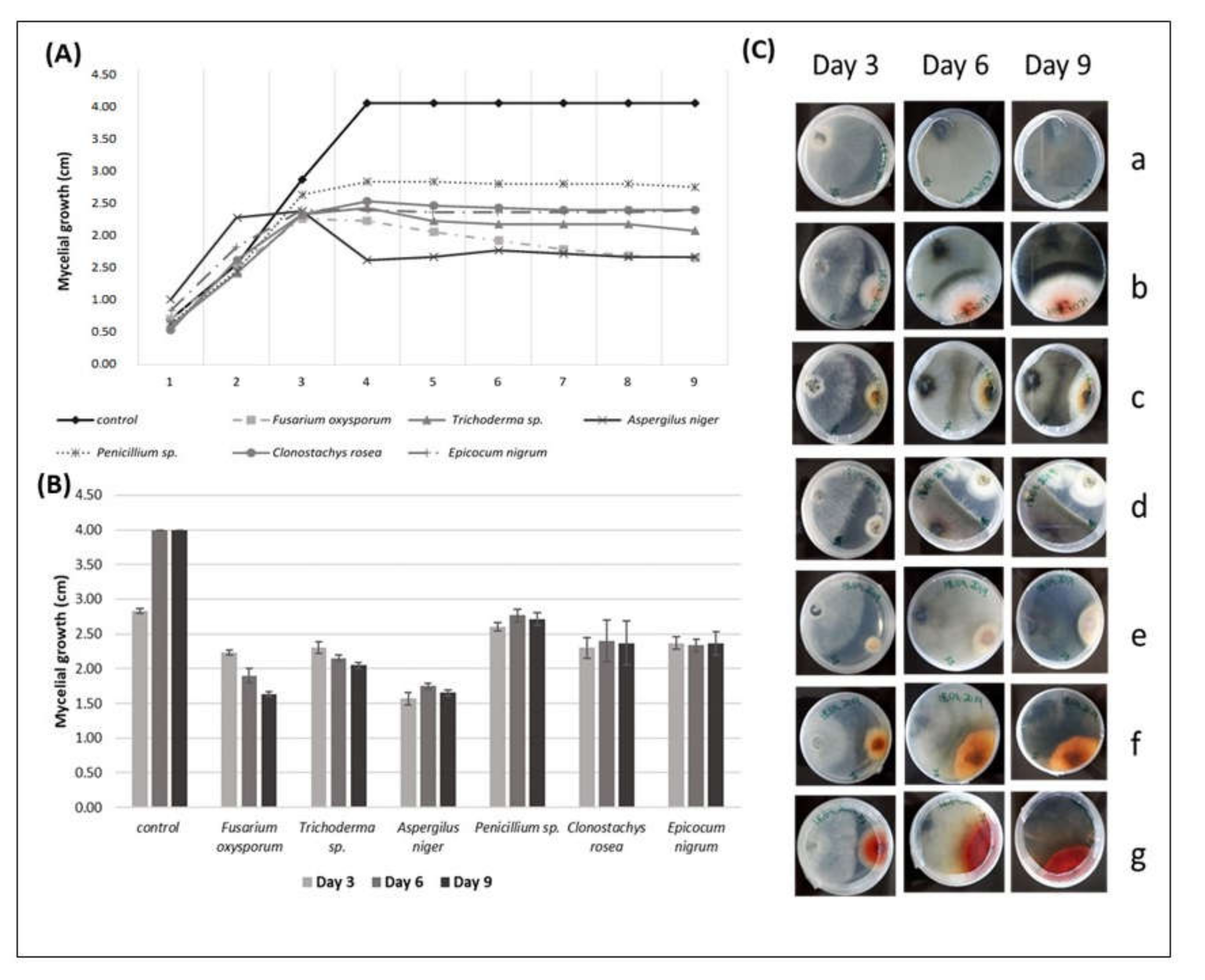 Biology 09 00420 g002 Biology 09 00420 g002