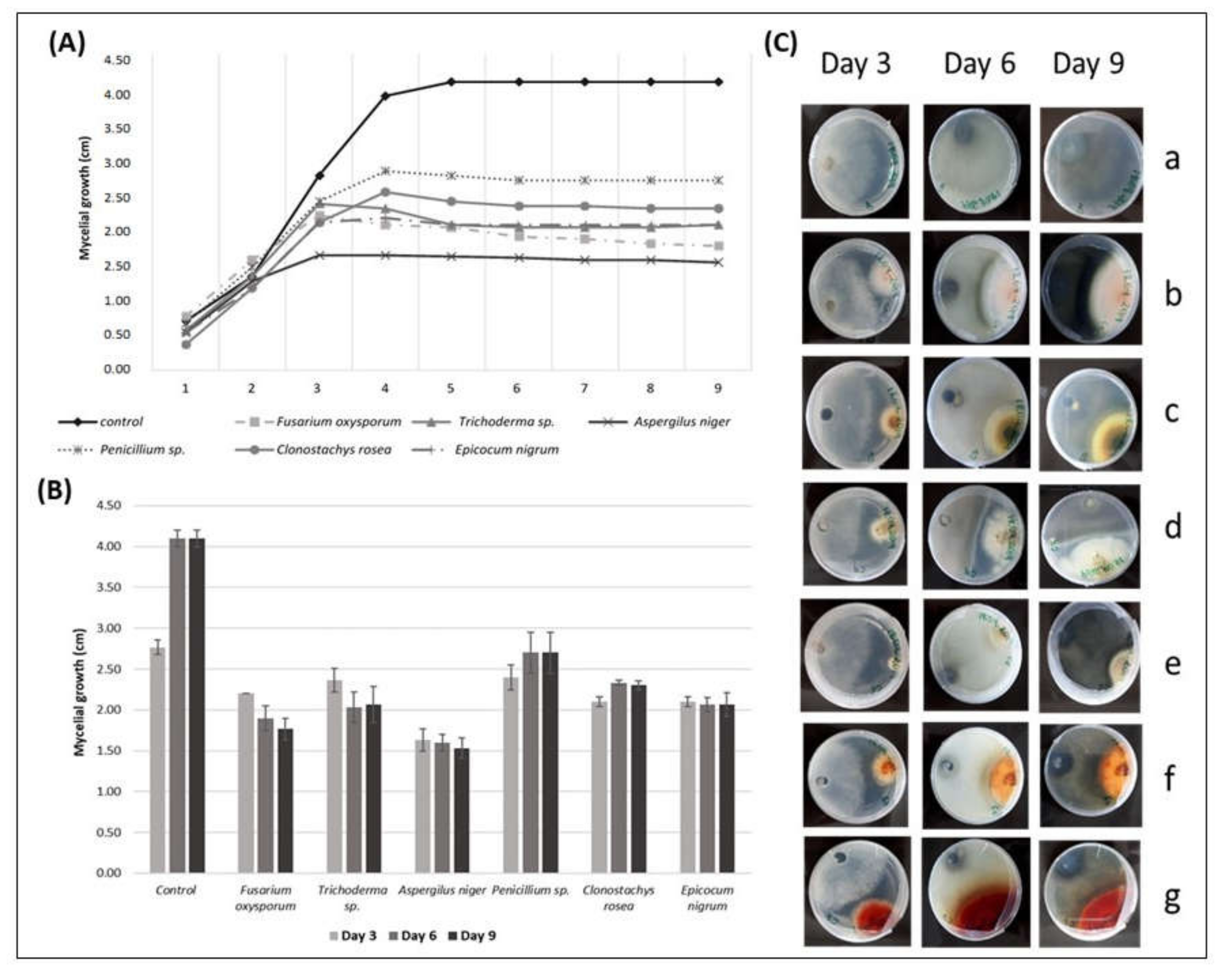 Biology 09 00420 g003 Biology 09 00420 g003