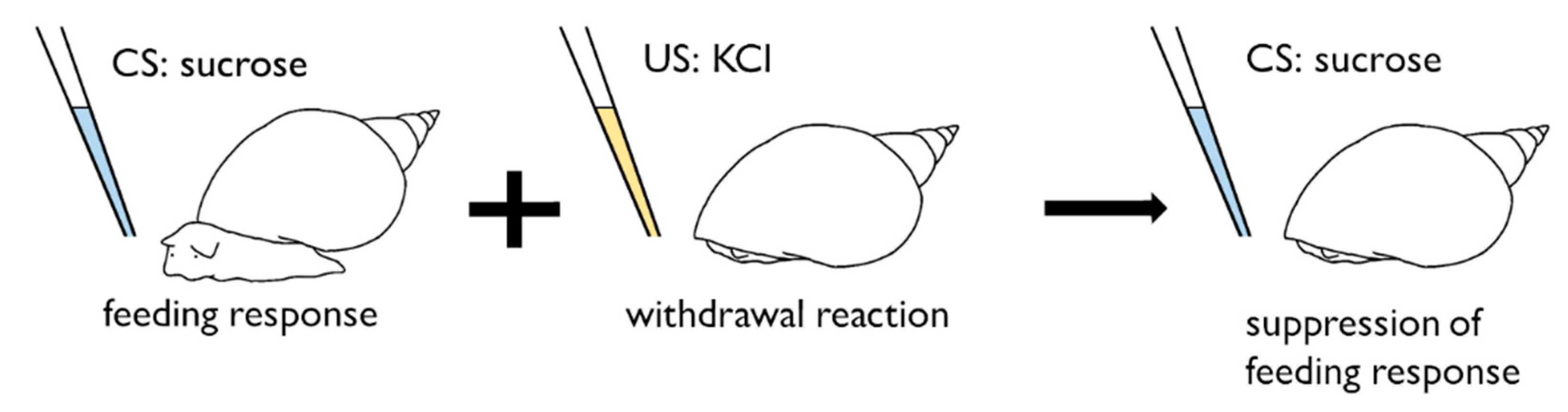 Biology 09 00422 g002 Biology 09 00422 g002