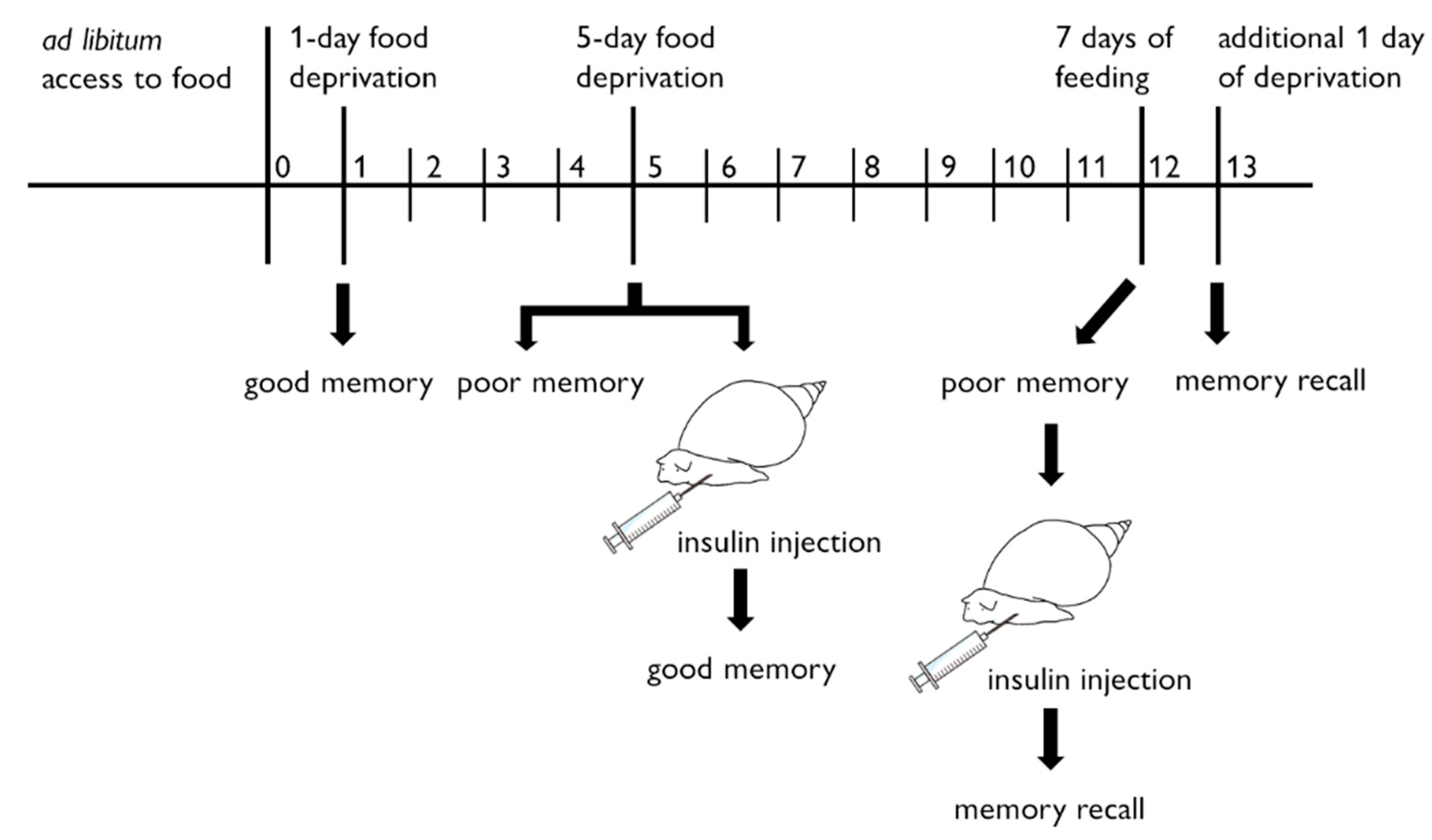 Biology 09 00422 g003 Biology 09 00422 g003